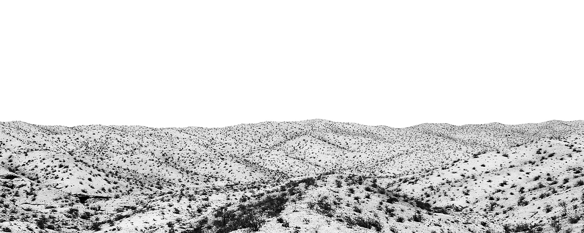 The Desert