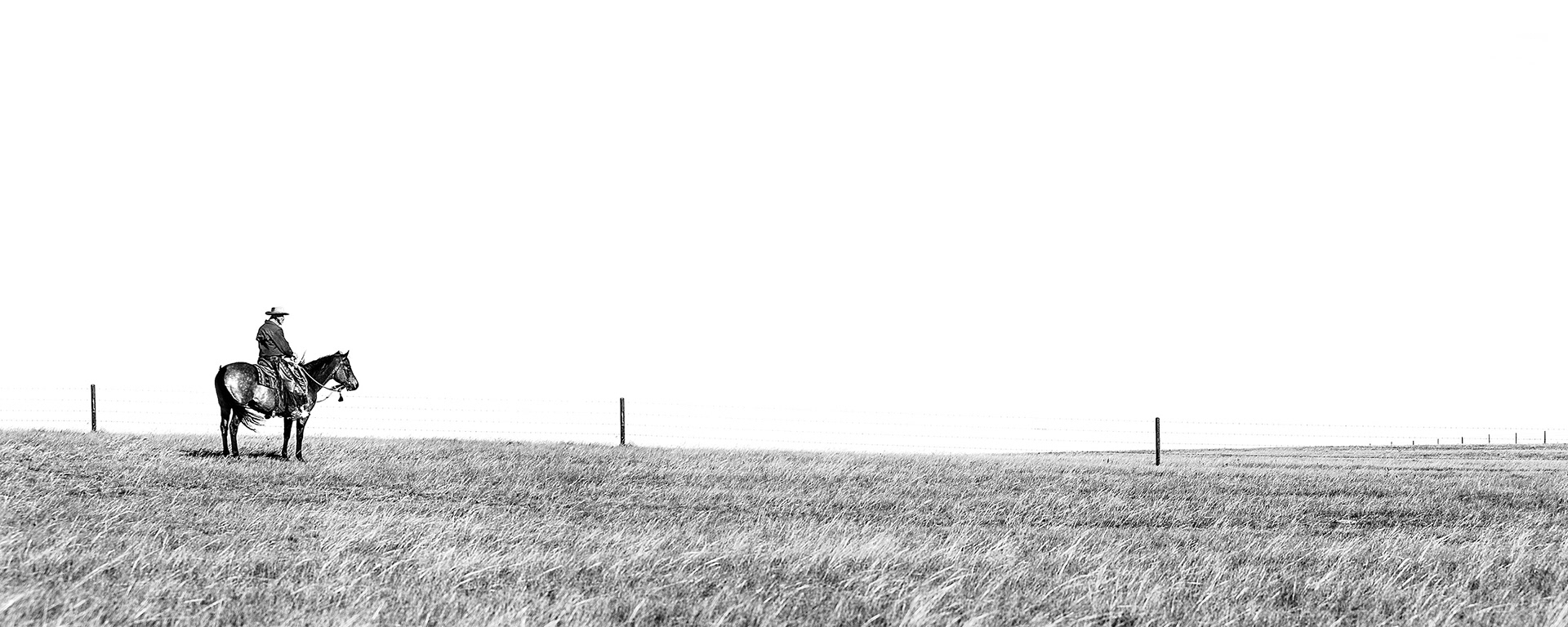 The Lone Cowboy