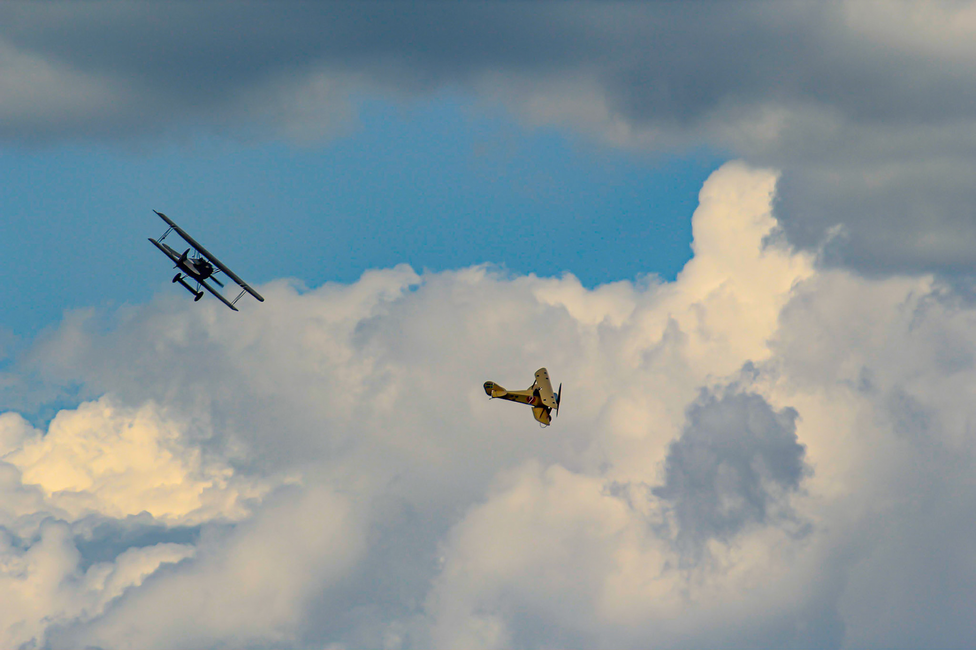 Dogfight: Ö 1 Tummelisa vs Fokker D.VII