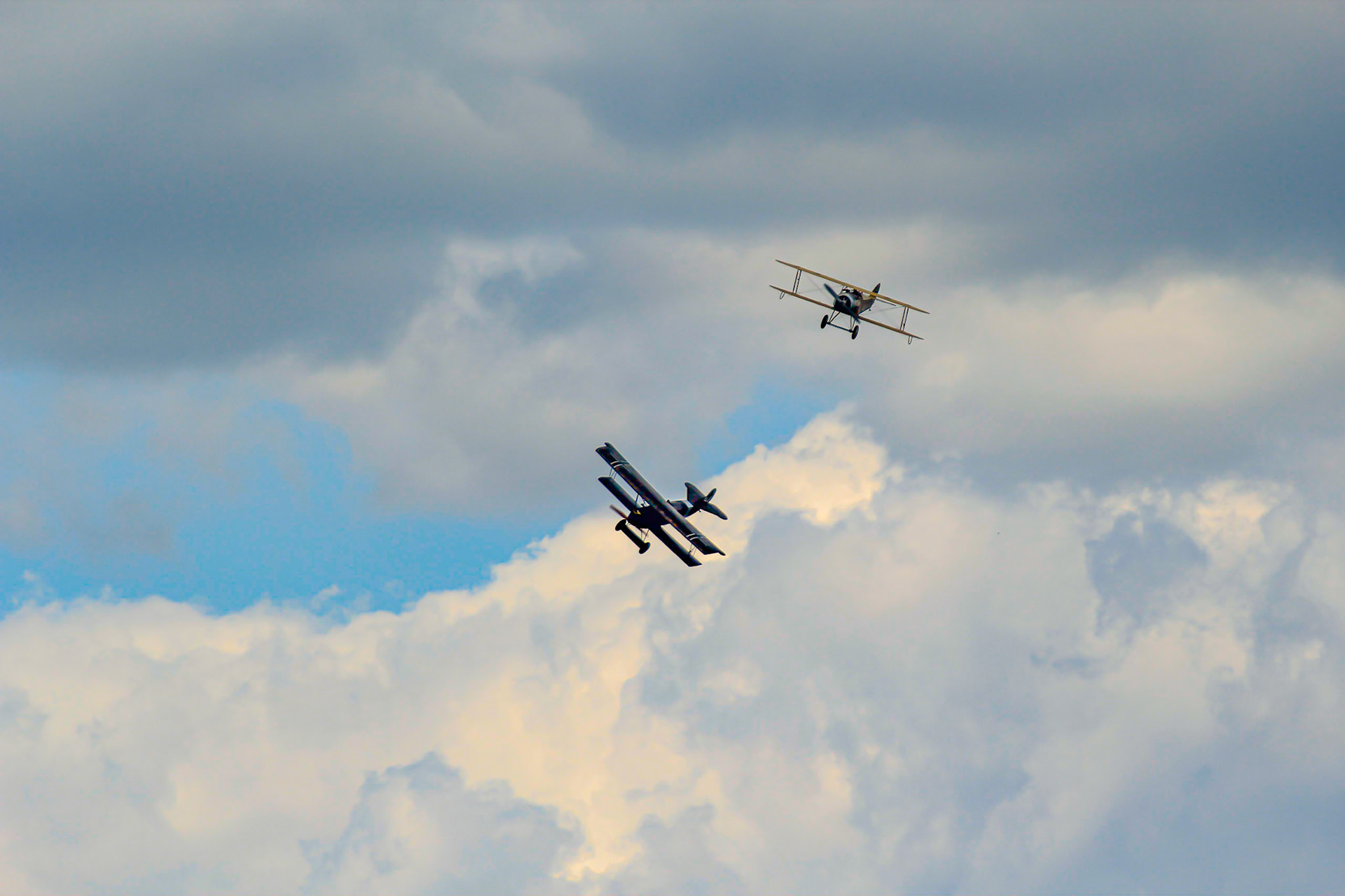 Dogfight: Ö 1 Tummelisa vs Fokker D.VII
