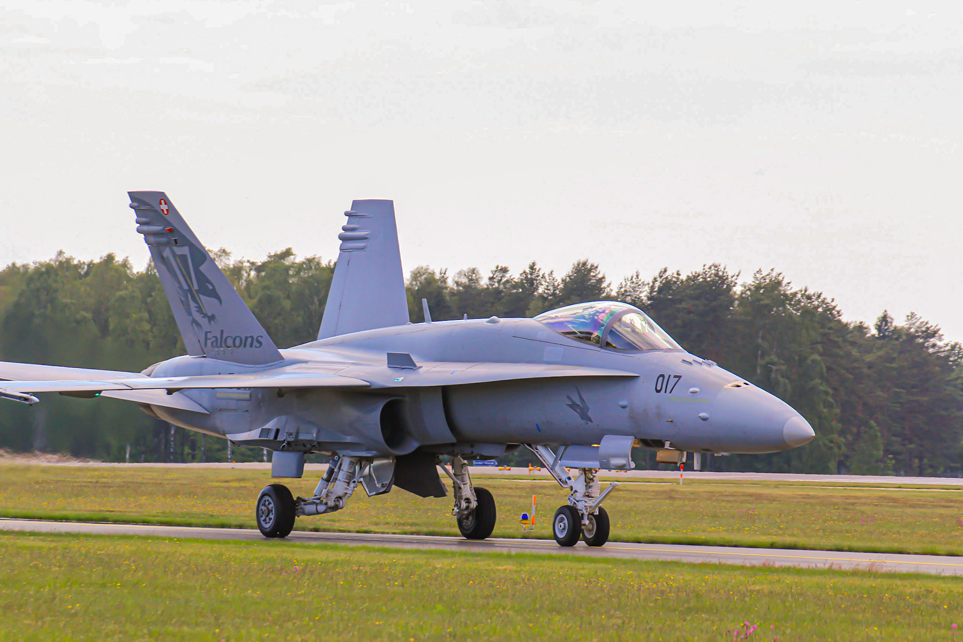 F/A-18 Hornet