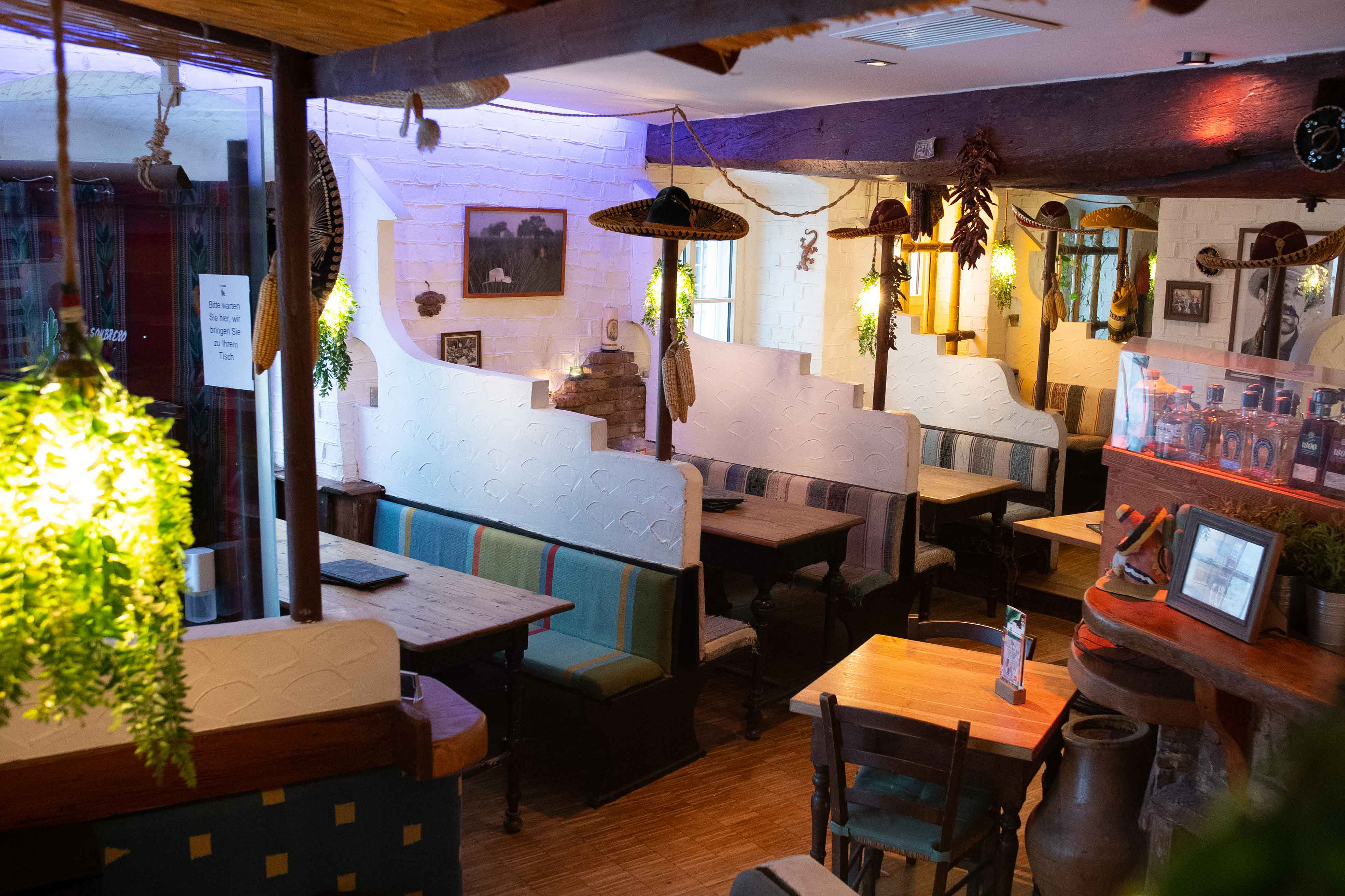 Professionelle Gastronomie-Fotografie einer modernen Restaurant-Bar mit stilvollen Hängelampen, Pflanzen und gemütlicher Beleuchtung im Hintergrund