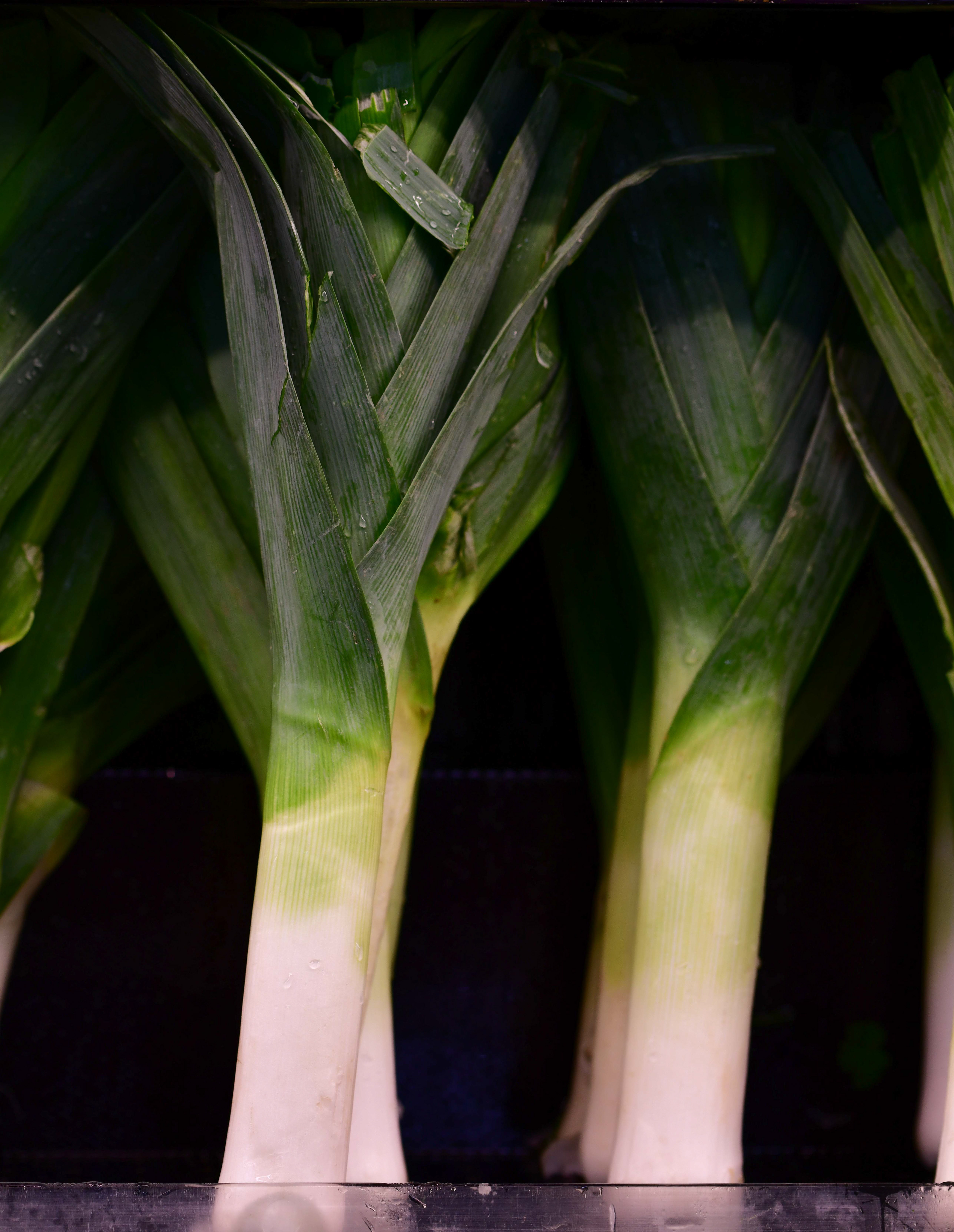 Leek Green