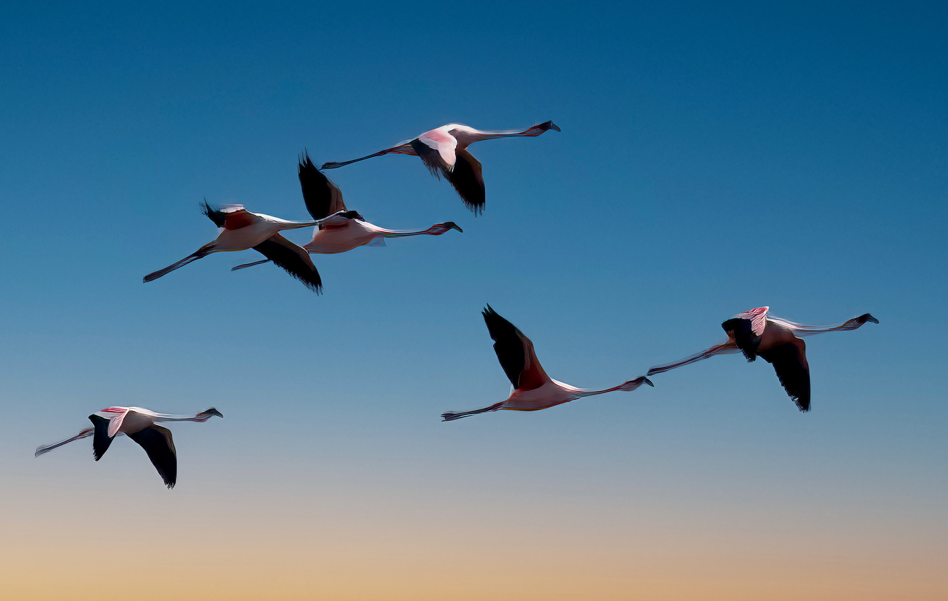 Pink Flamingos - Exit Stage Right