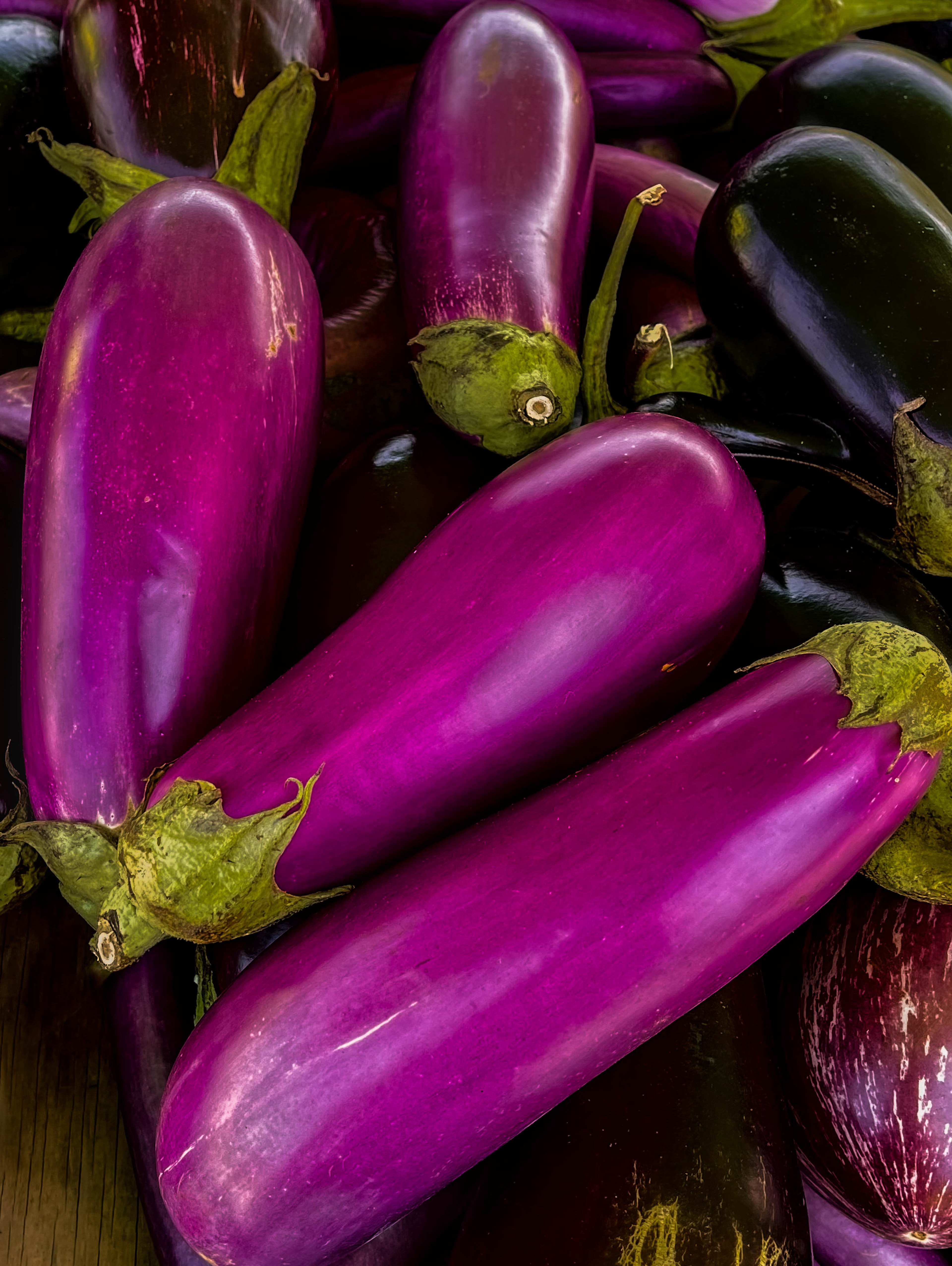 Aubergine