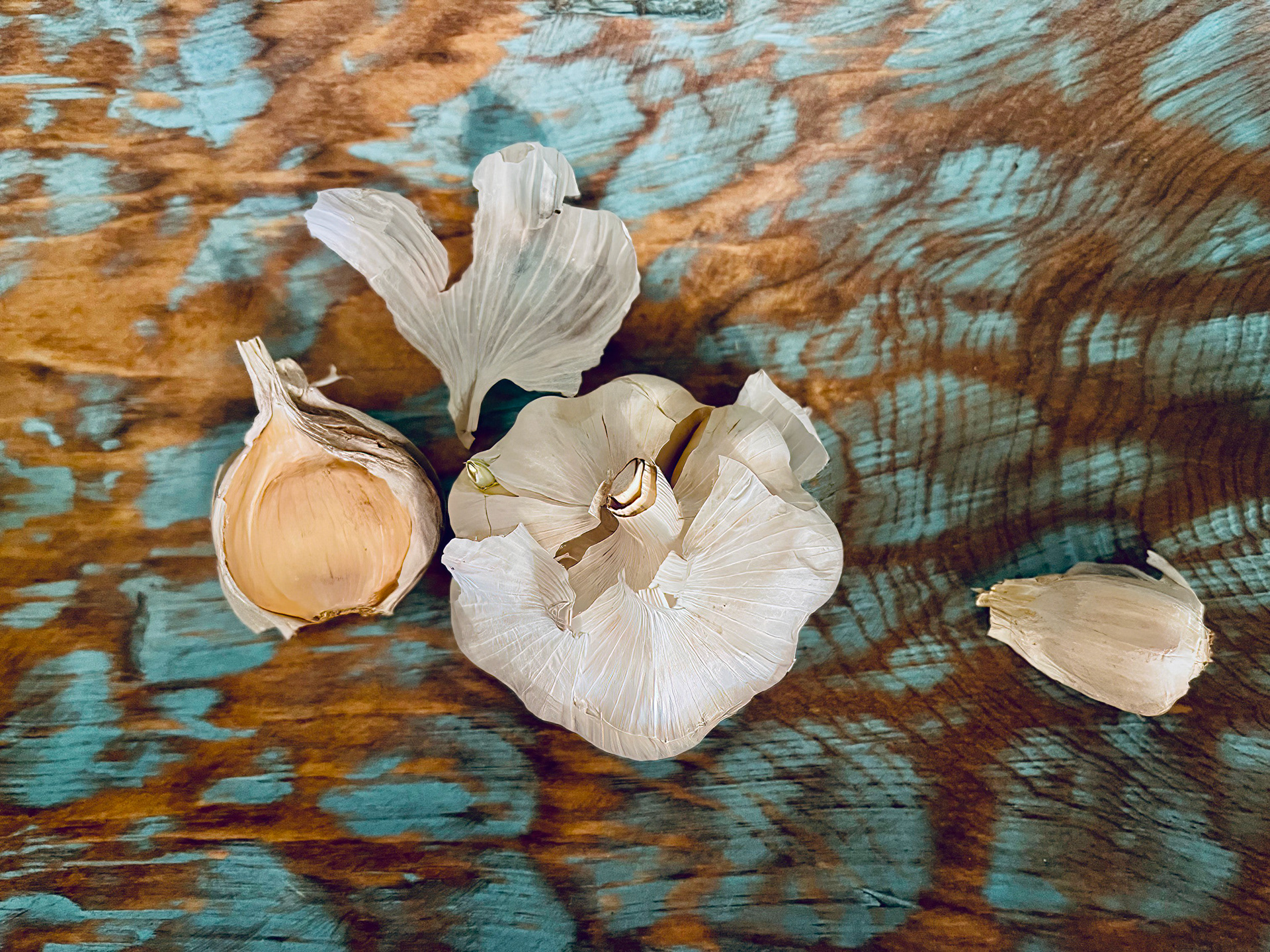Garlic