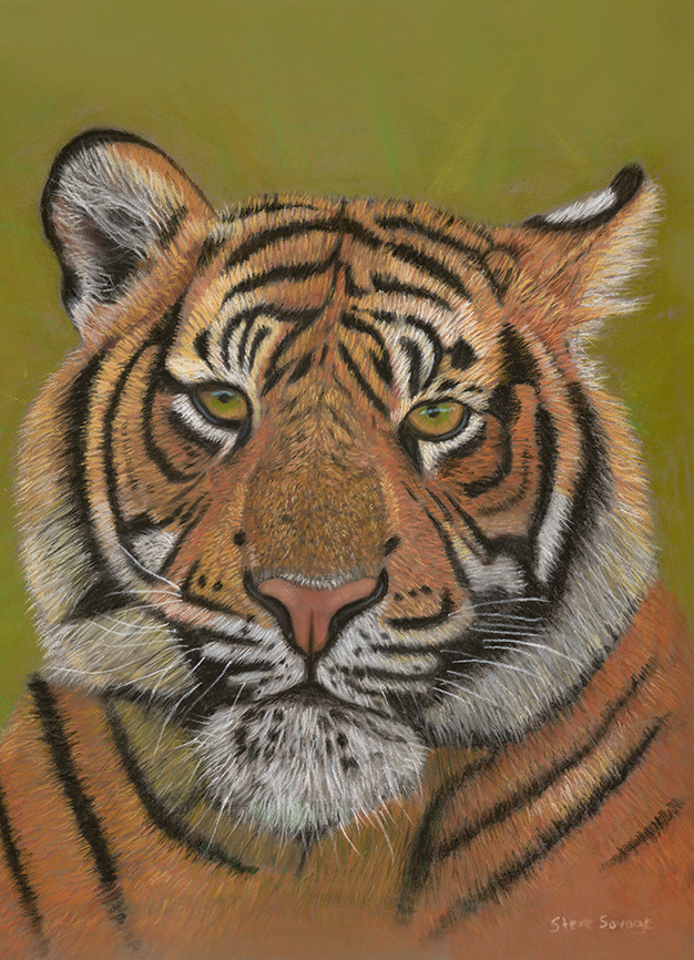 'Eyes of the Tiger'