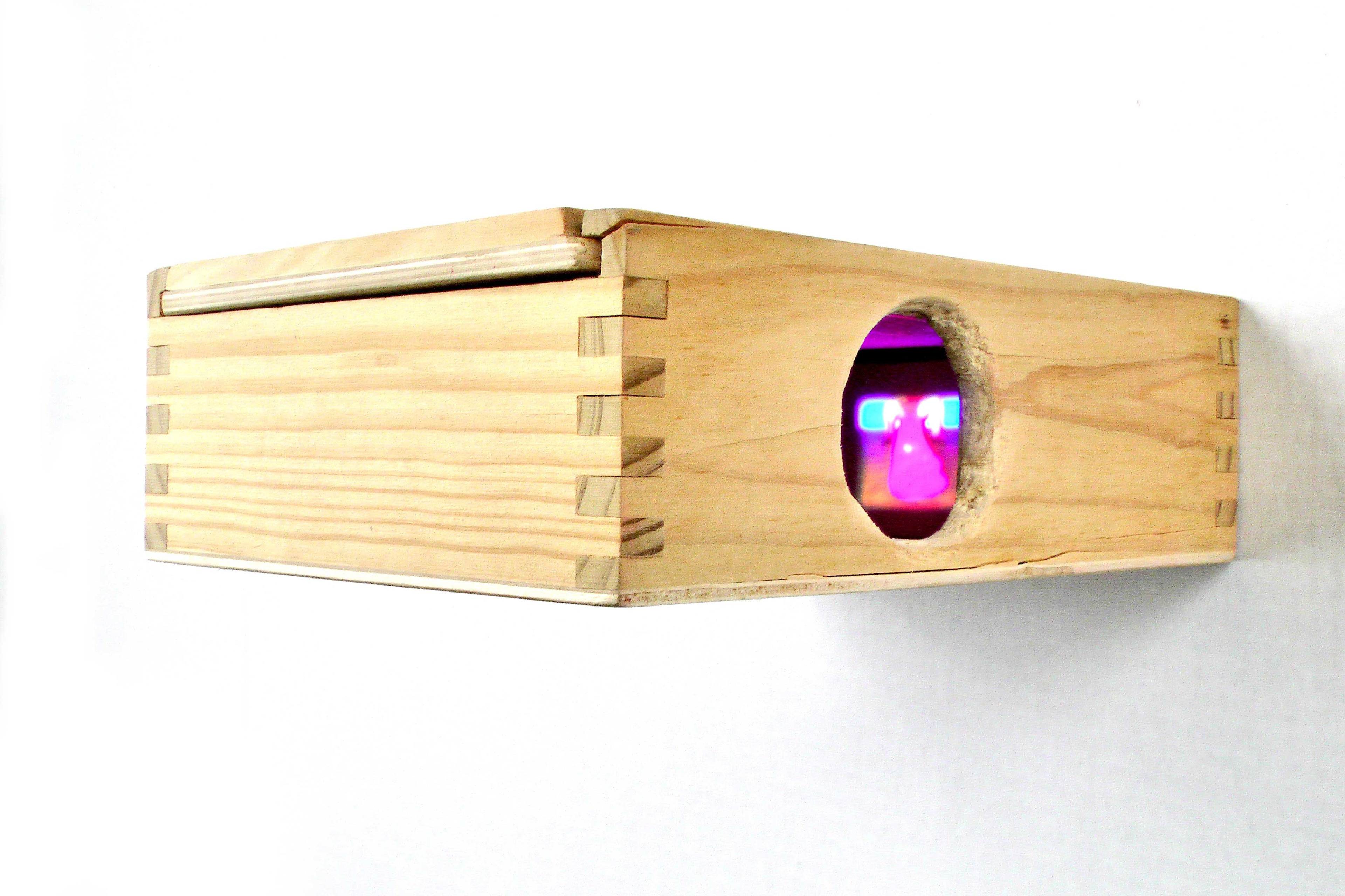 A tiny wooden box measuring 8' x 6' x 2' with a small hole in the side of the box for viewing. The video projection is 1.5' x 1.5' inside the box. A side view with an hole cut out of the side. Inside the box there is a small projection of the video failure in truth. This image is of the artist as Pinocchio sitting on a huge wooden log that has been painted red.