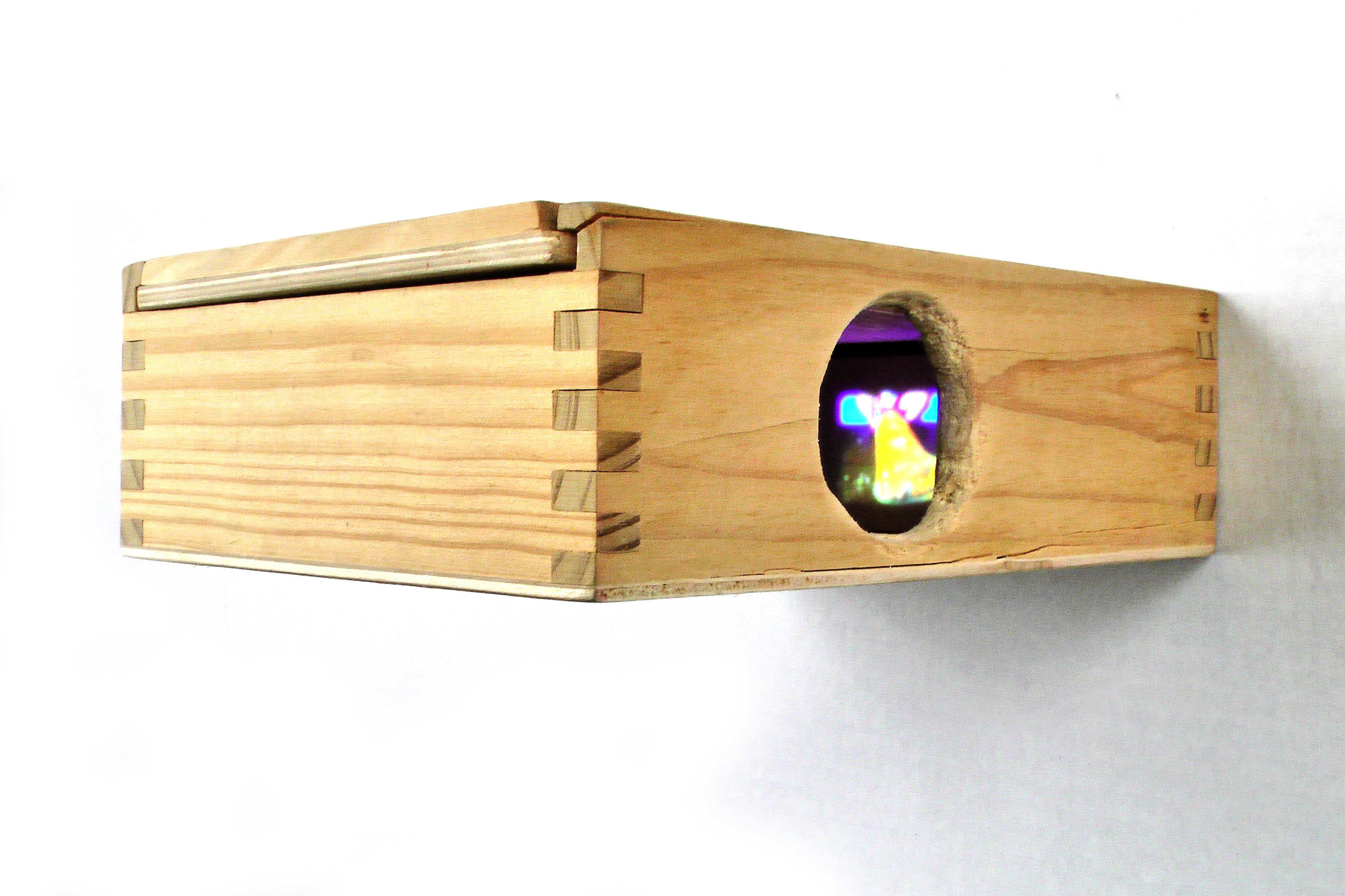 A tiny wooden box measuring 8' x 6' x 2' with a small hole in the side of the box for viewing. The video projection is 1.5' x 1.5' inside the box. A side view with an hole cut out of the side. Inside the box there is a small projection of the video failure in truth. The artist is sitting on a large painted yellow log; only the bottom half of their body is in the image.