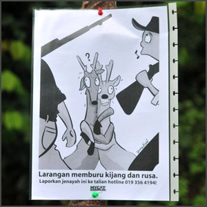 Cartoon poster for MyCat