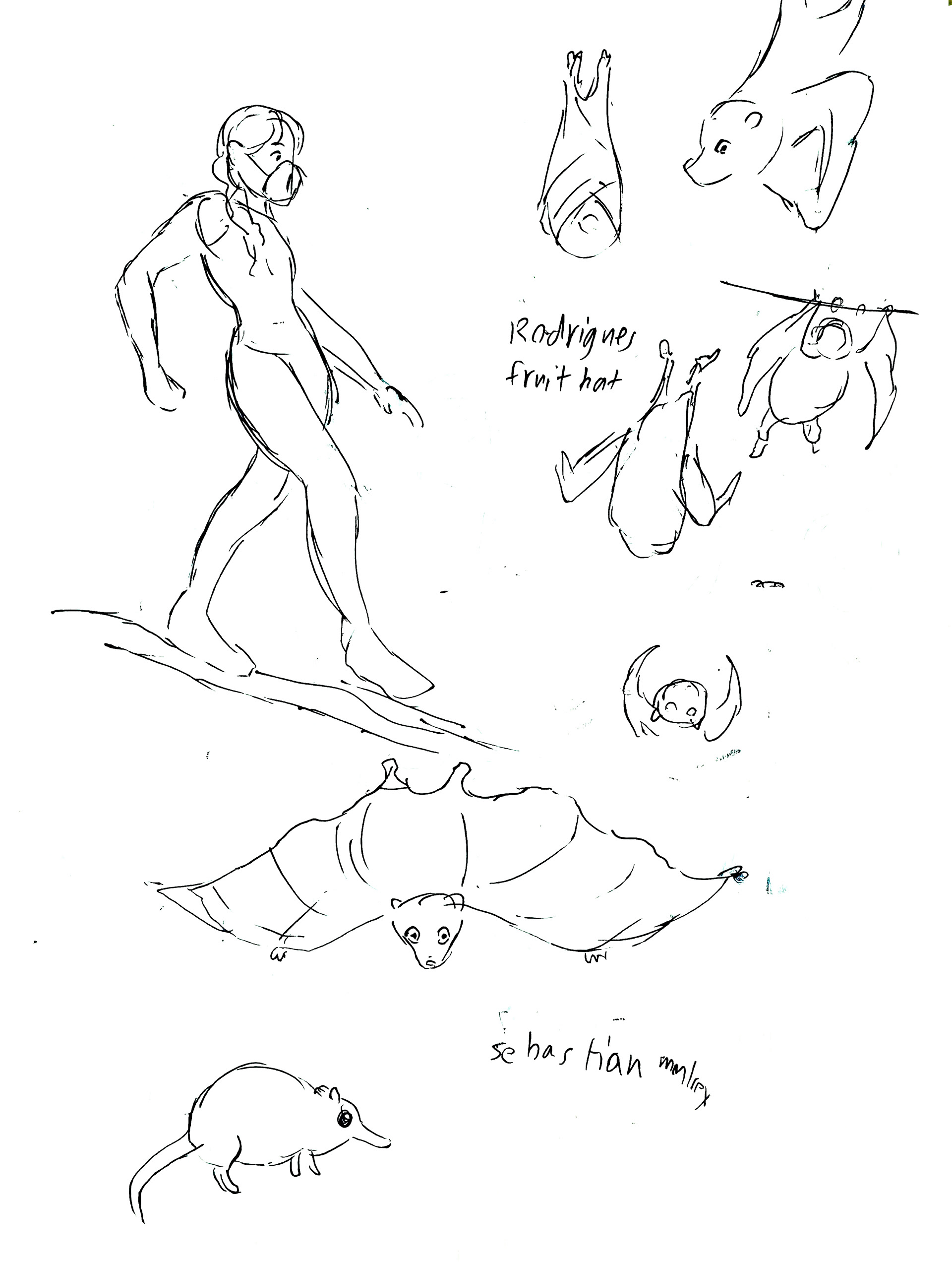 Sketches from the Philadelphia Zoo