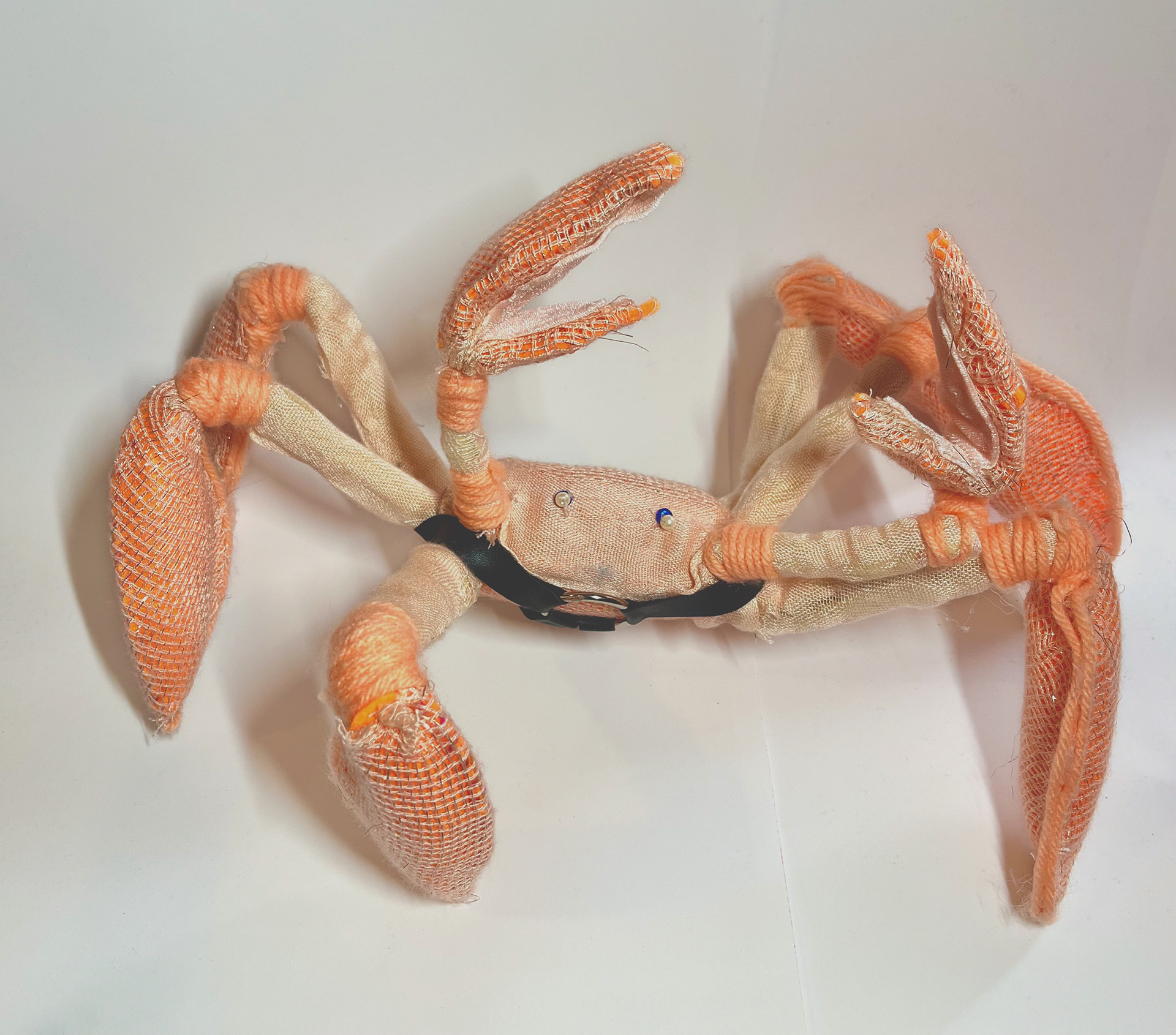Crab, 6x12"