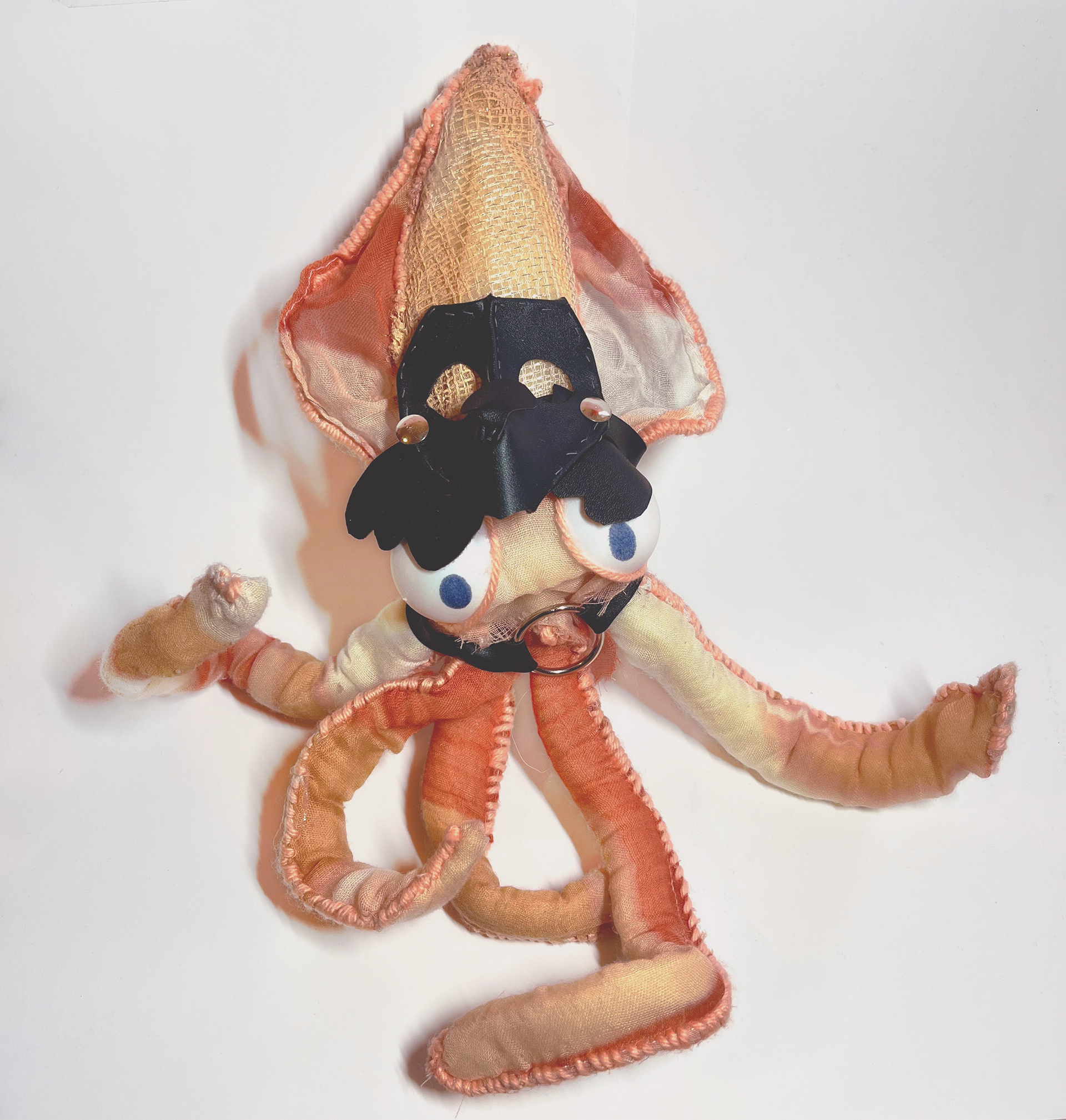 Squid, 12x12"