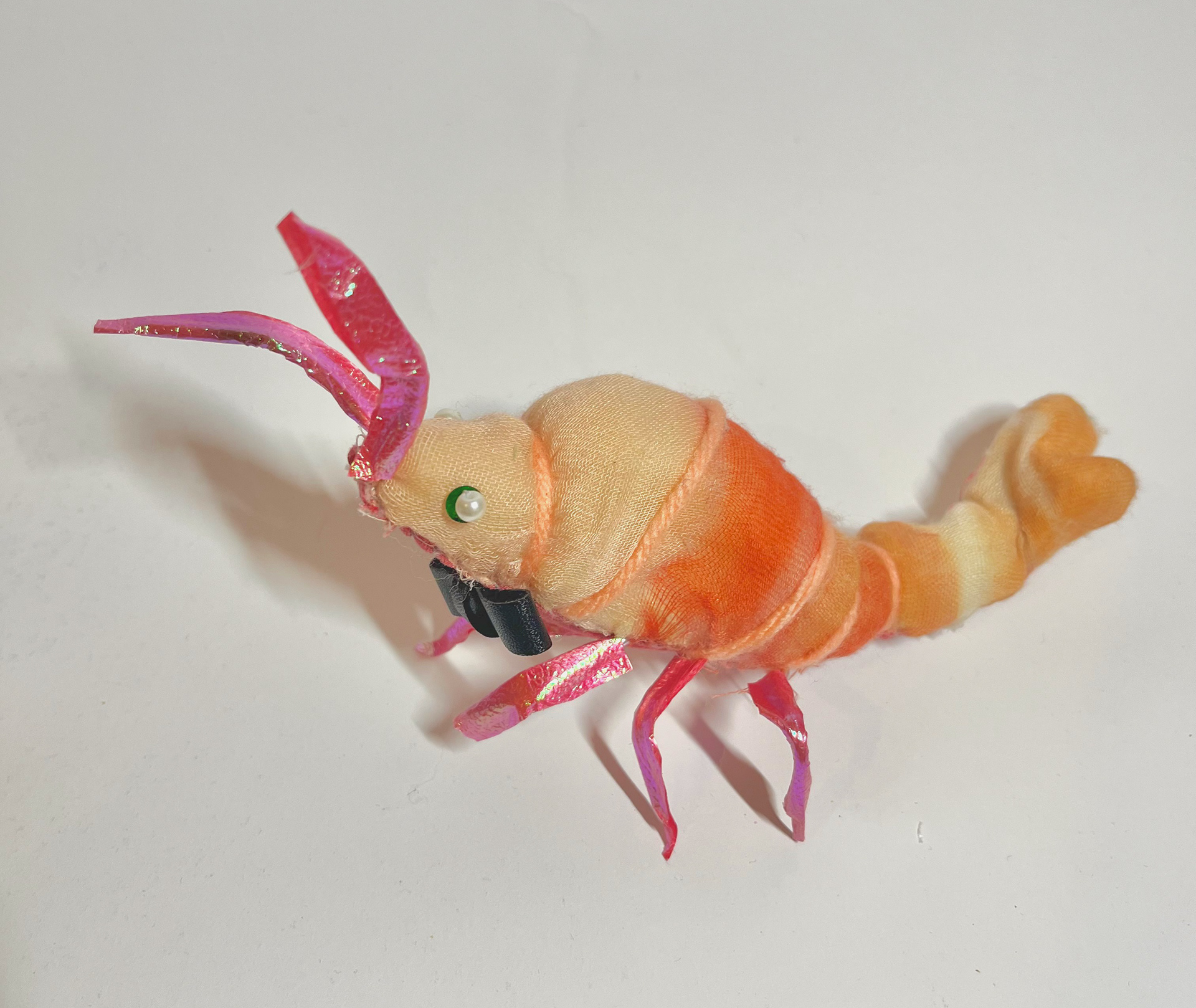 Shrimp, 3x5"