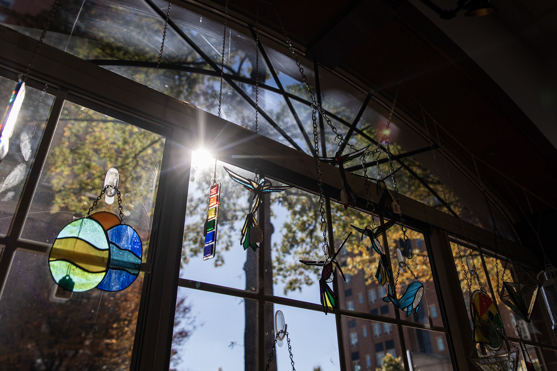 Window decorations for sale hang in the window of Fiscus Glassworks in Alexandria, Va. on Nov. 08, 2025.