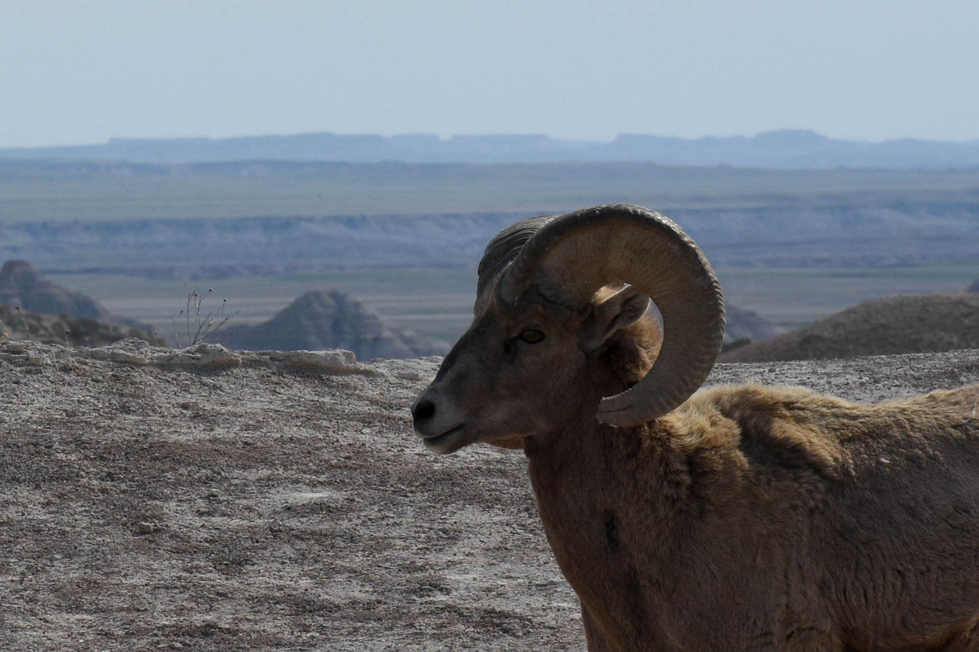 Badlands National Park