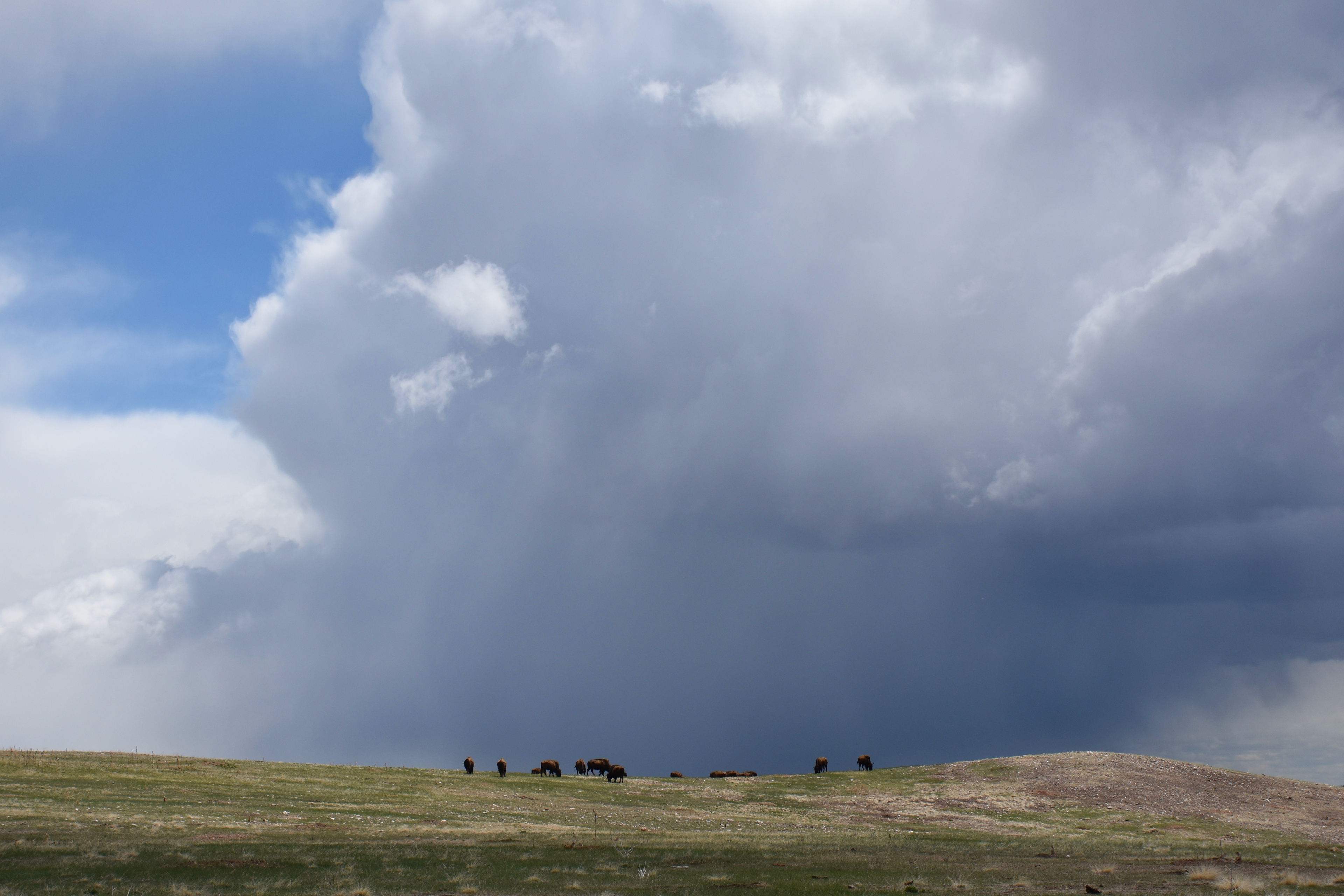 Wind Cave National Park