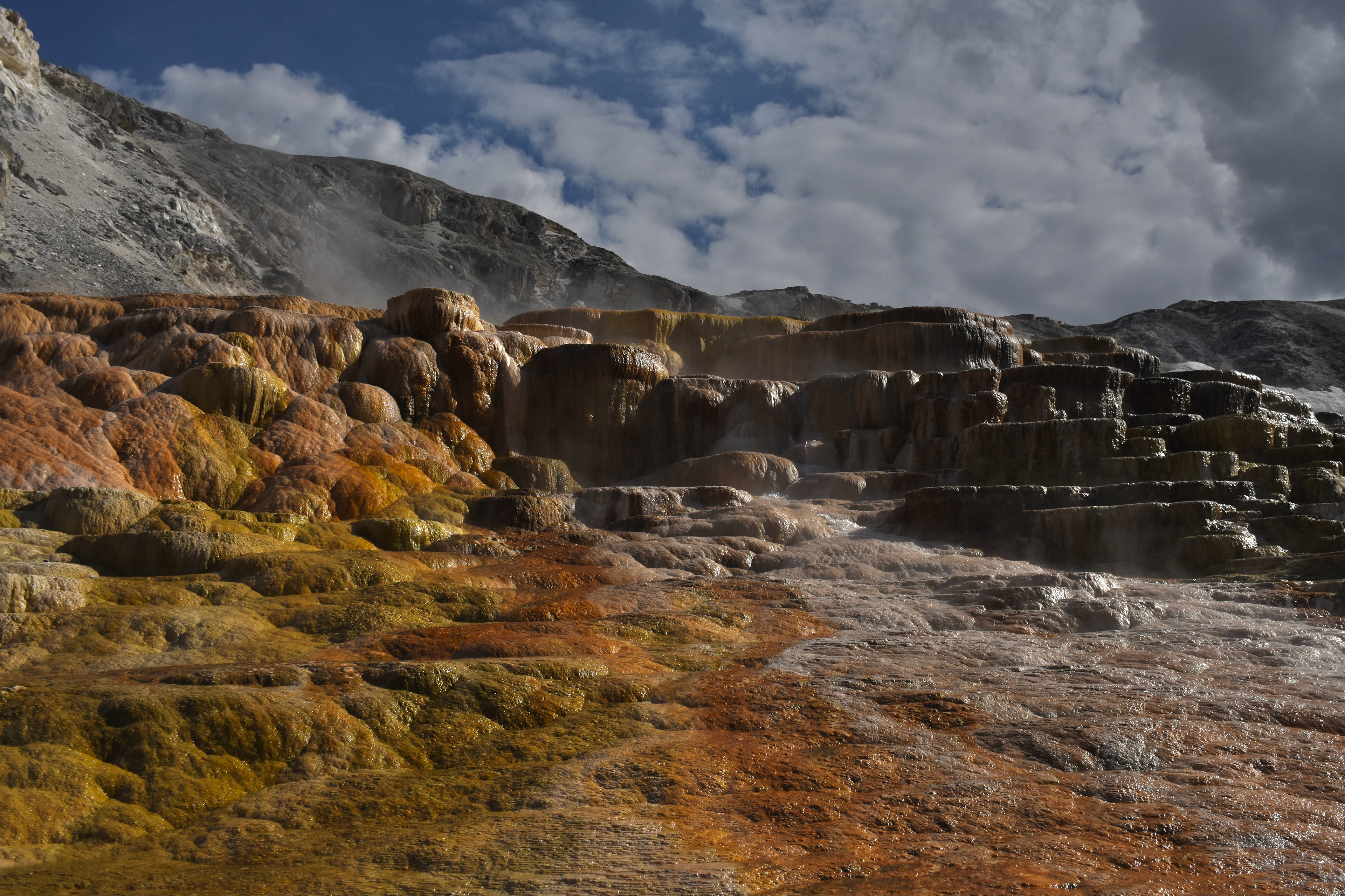 Yellowstone National Park