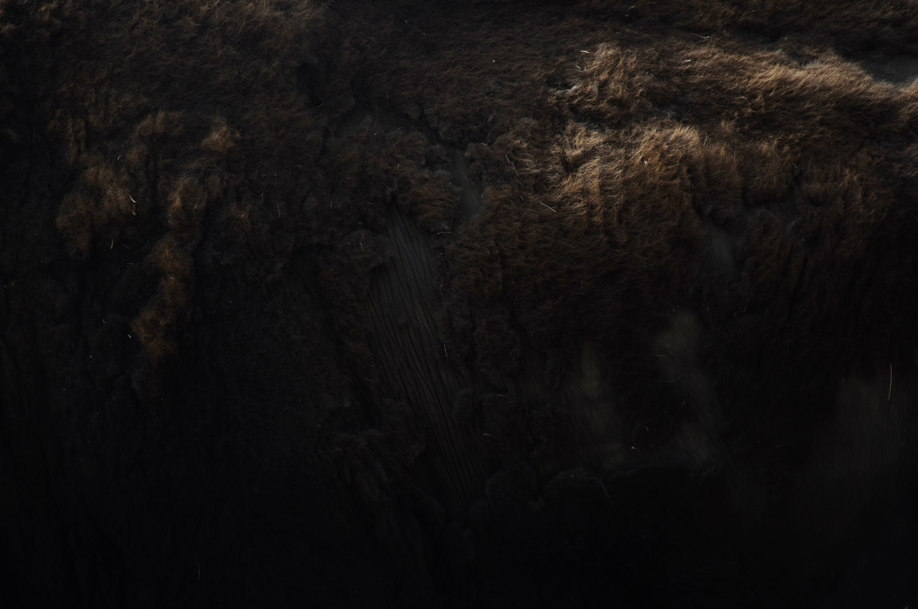 Theodore Roosevelt National Park