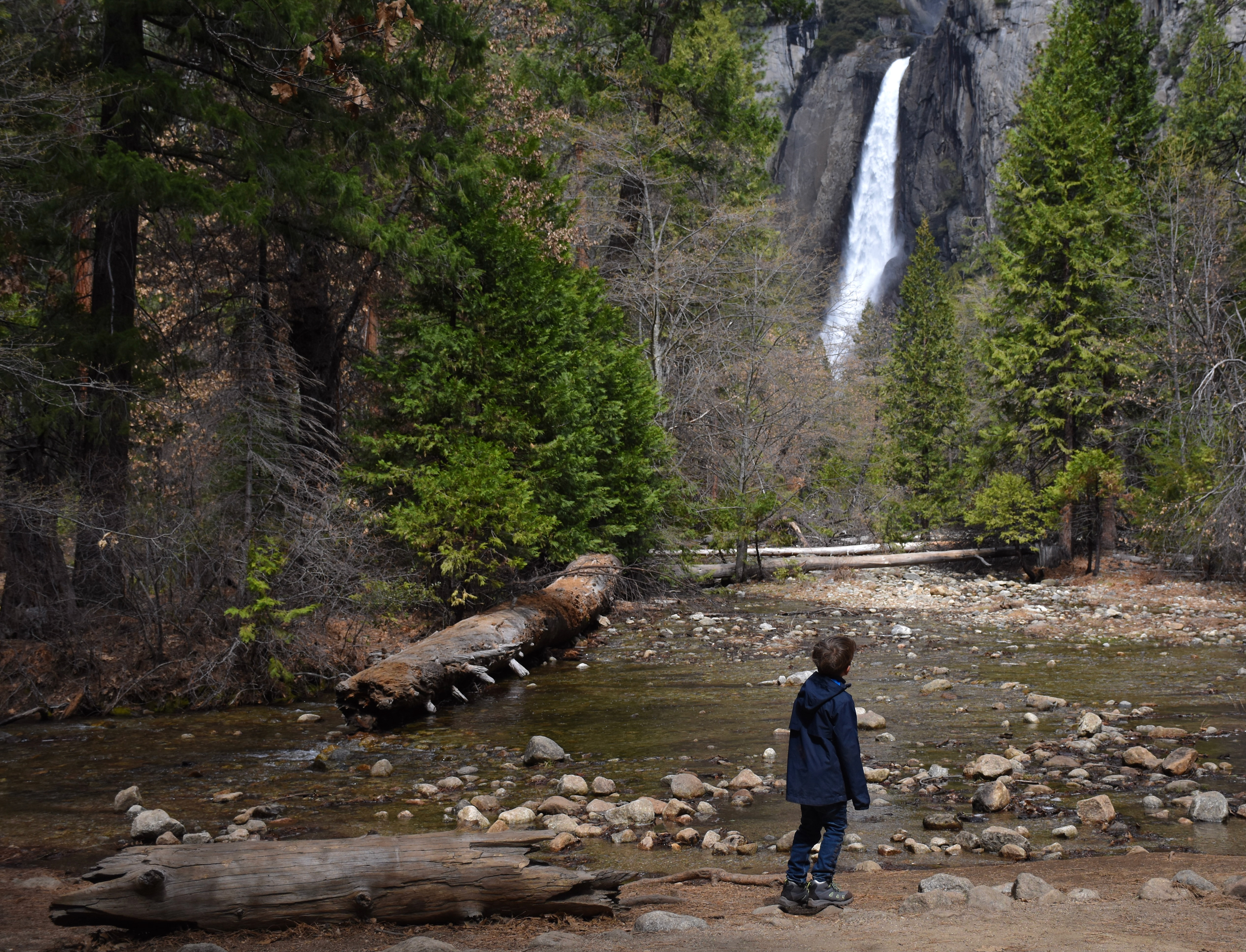 Yosemite National Park