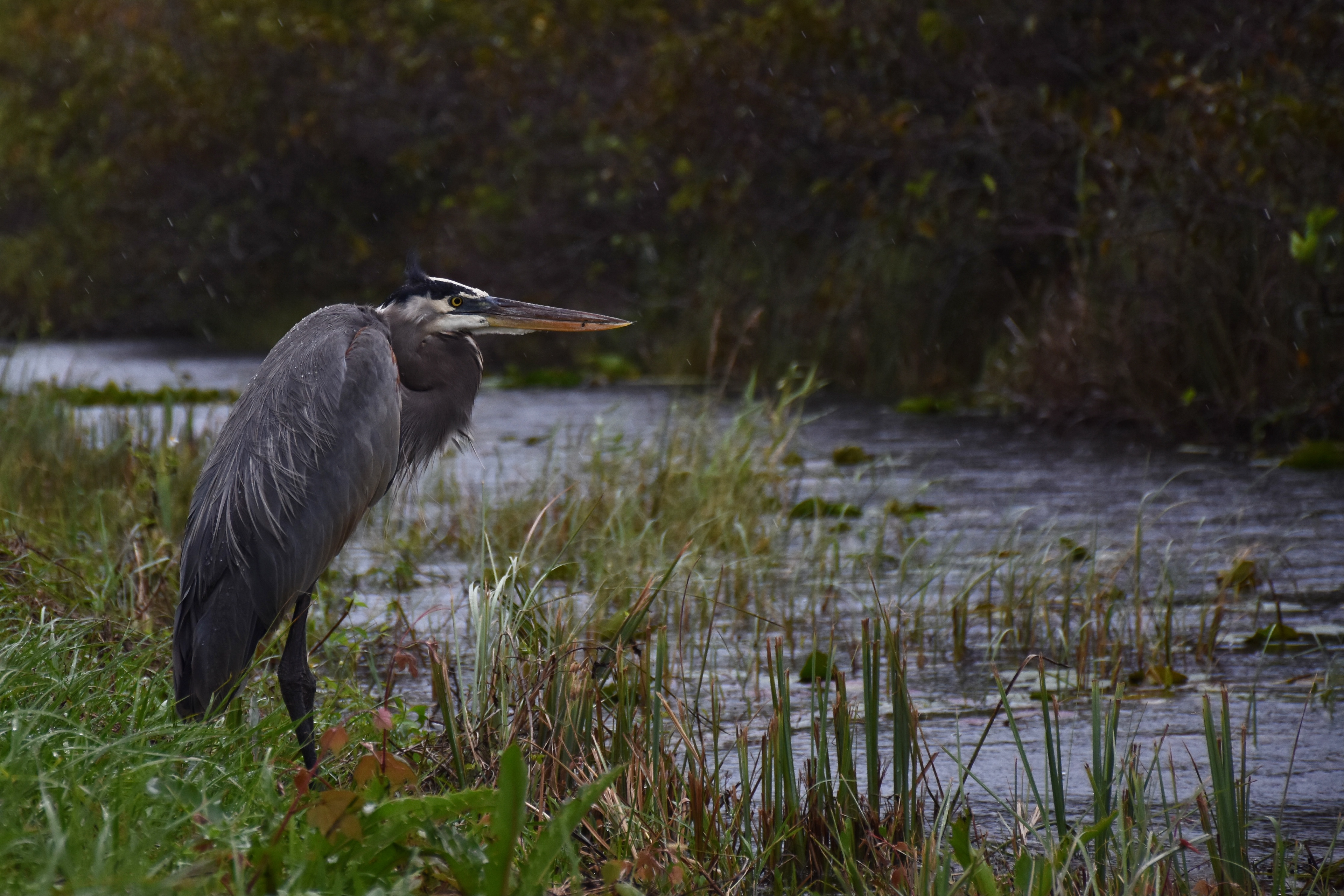 Everglades National Park