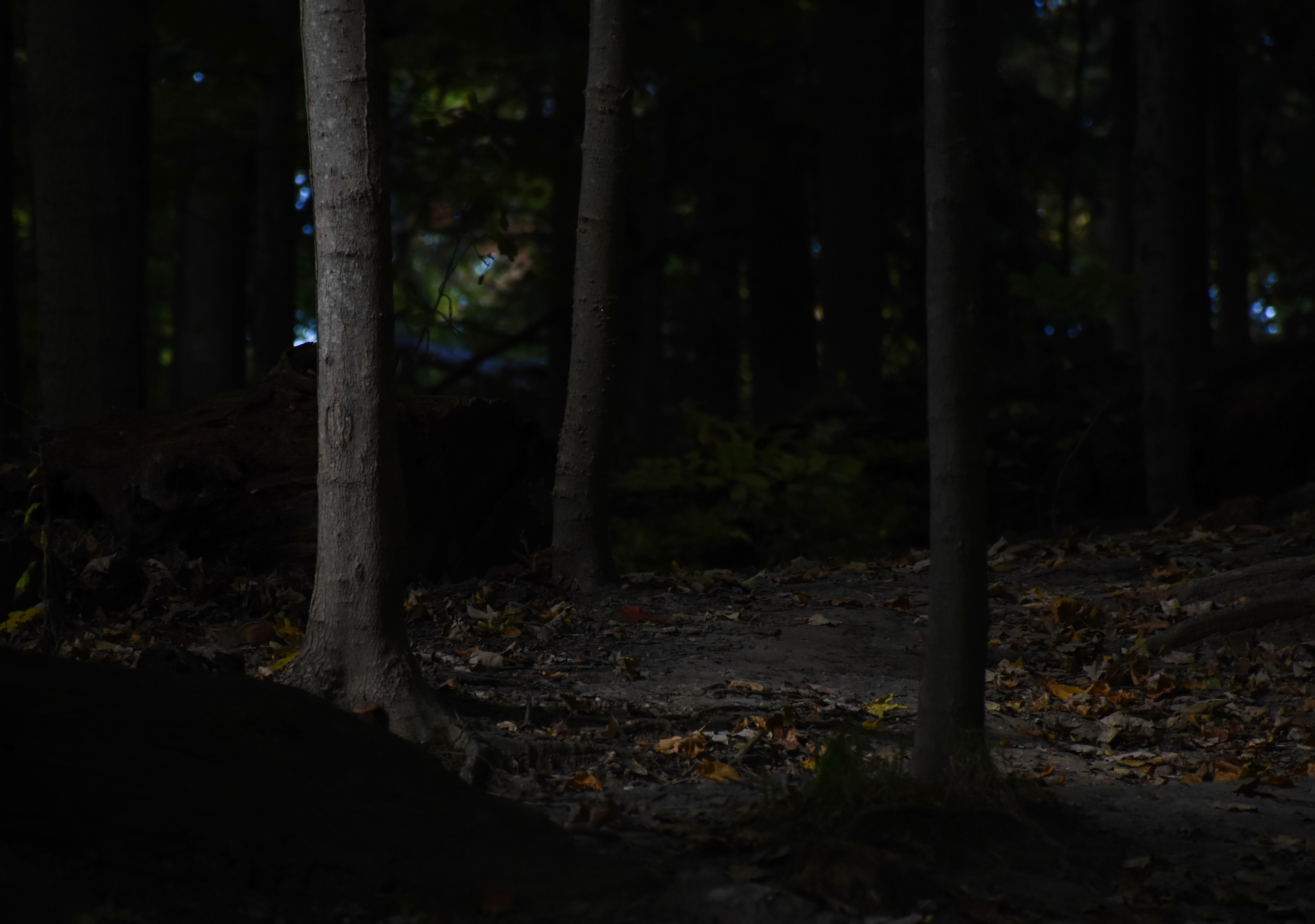 Cuyahoga Valley National Park