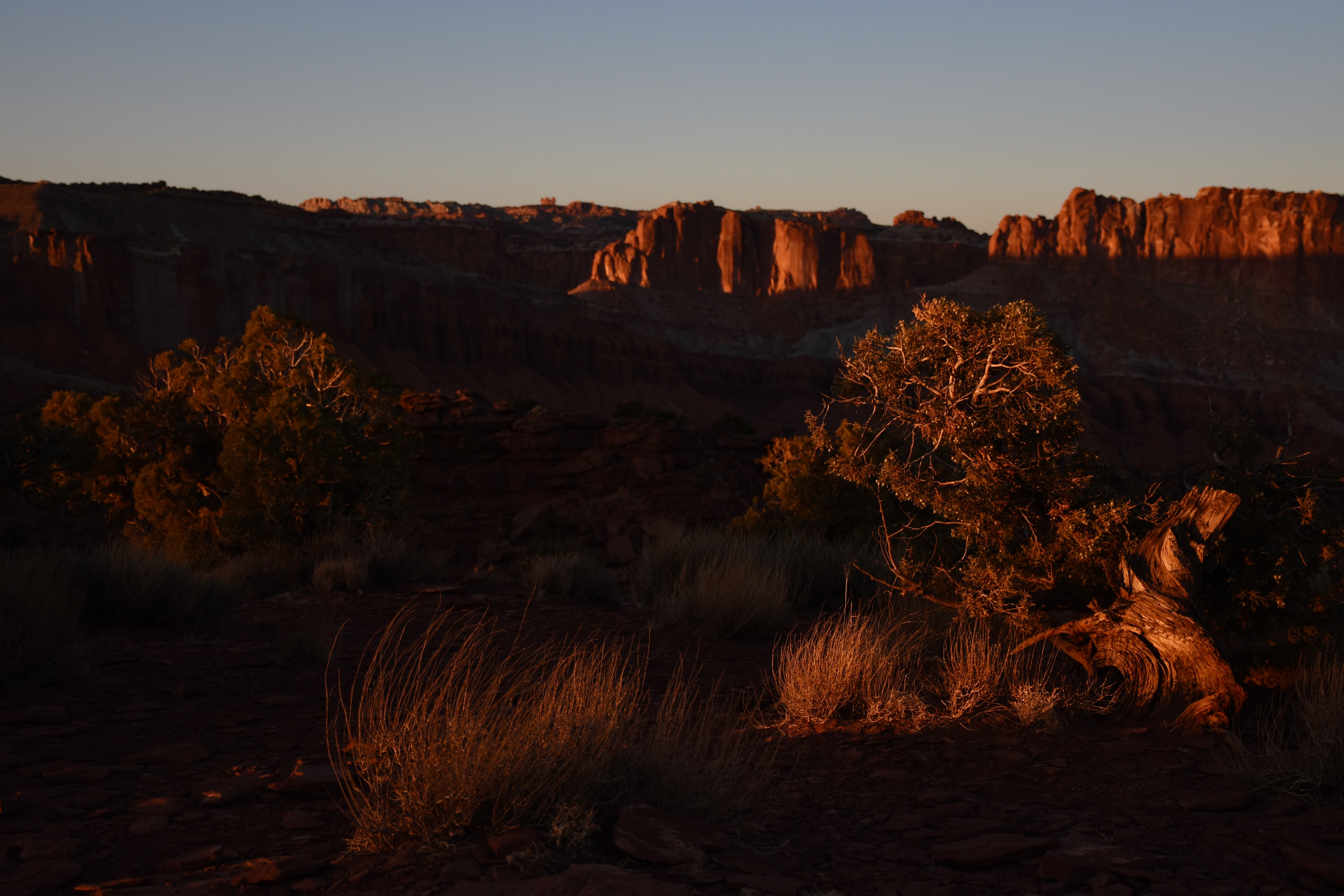 Capitol Reef National Park