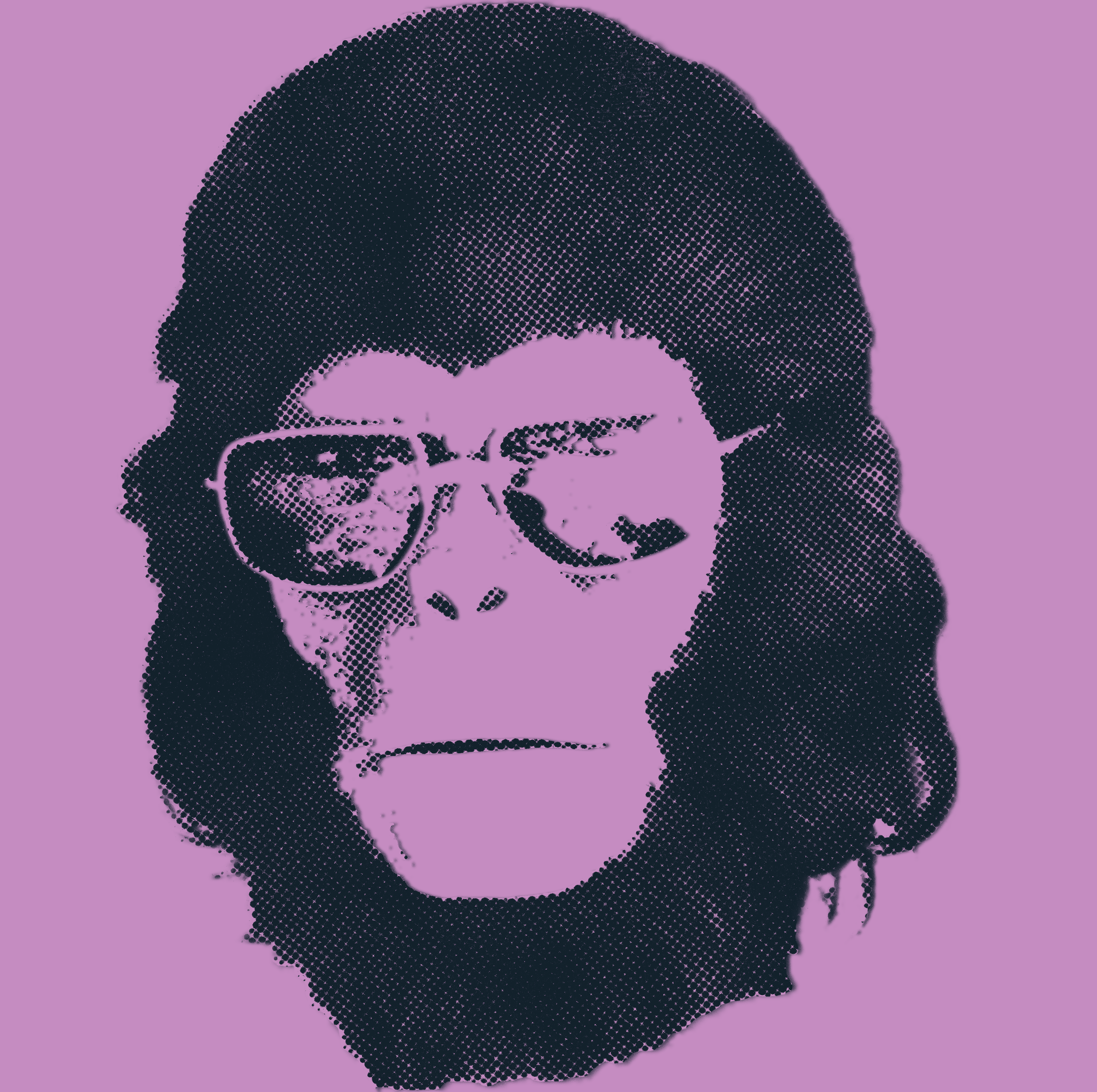 chimp acres