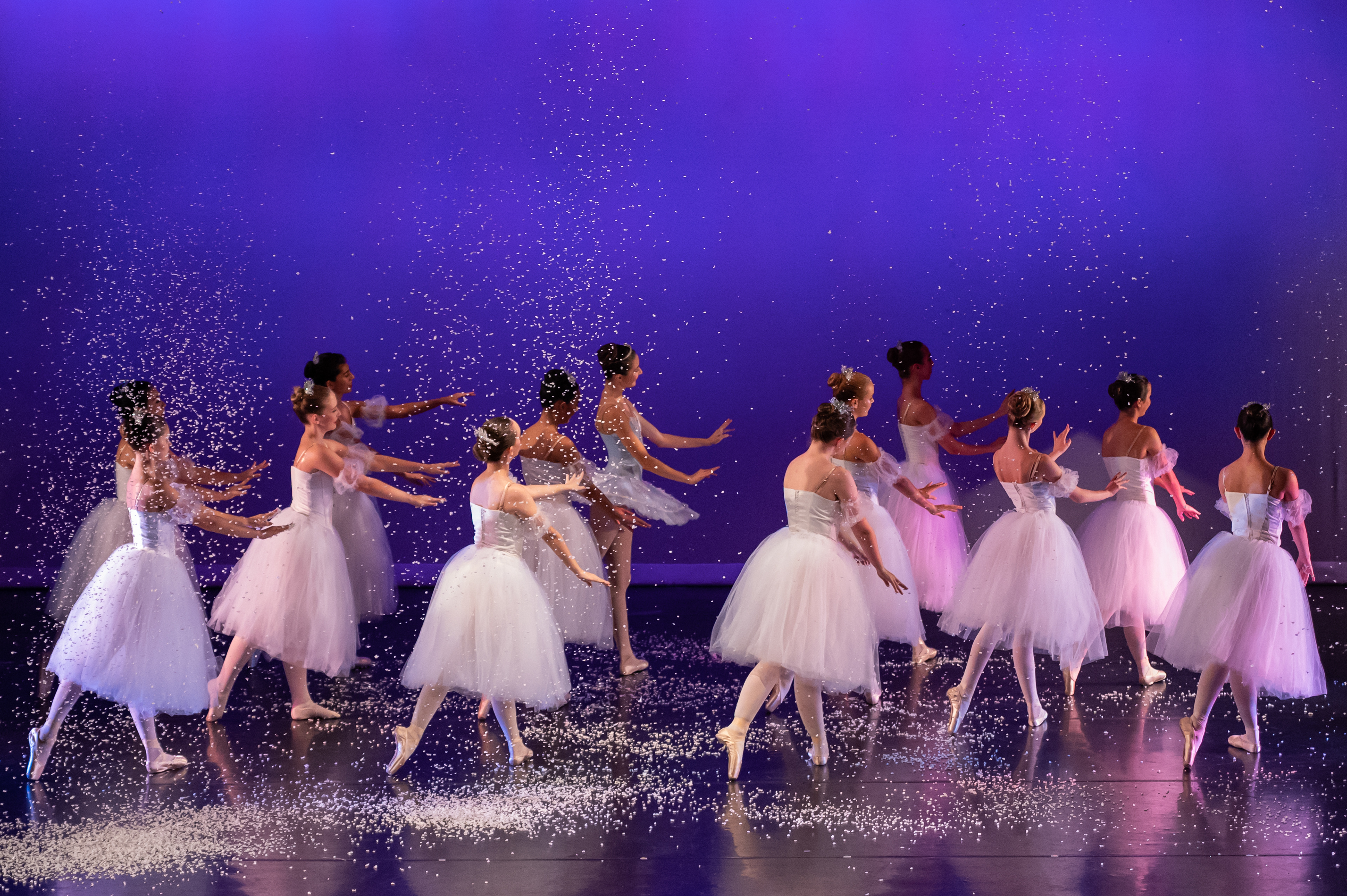 Waltz of the Snowflakes