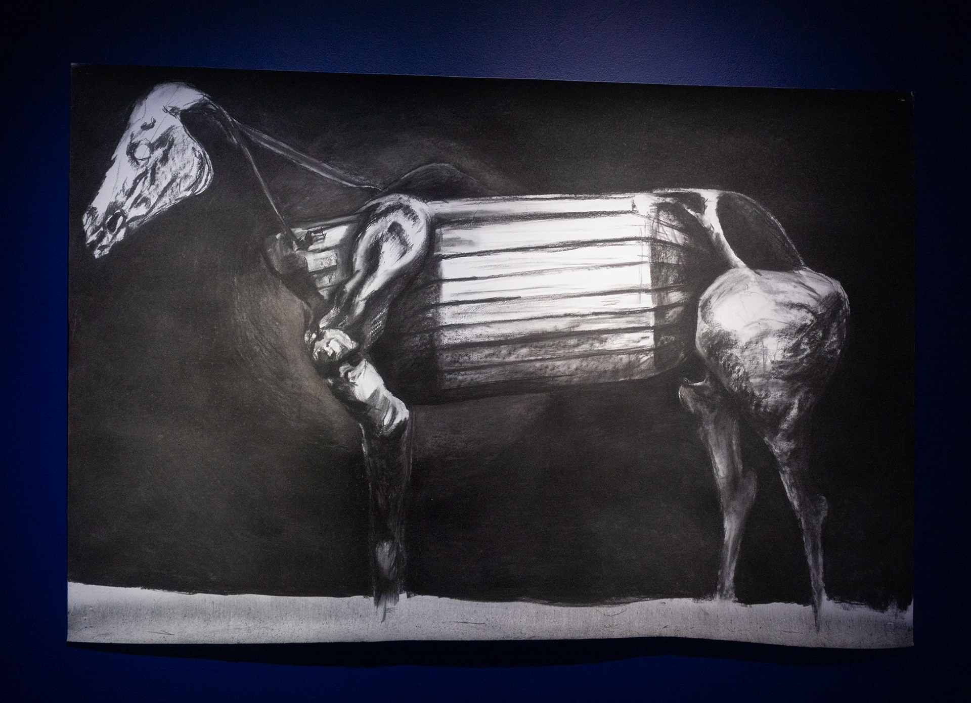 150 cm x 110 cm, charcoal on paper