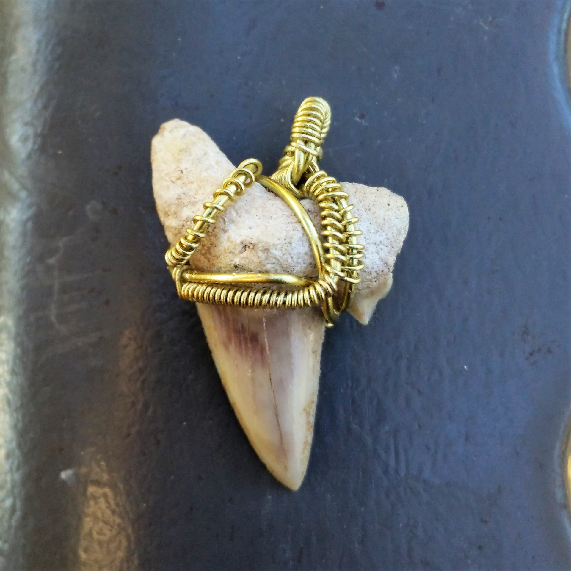 Wire wrapped sharks tooth