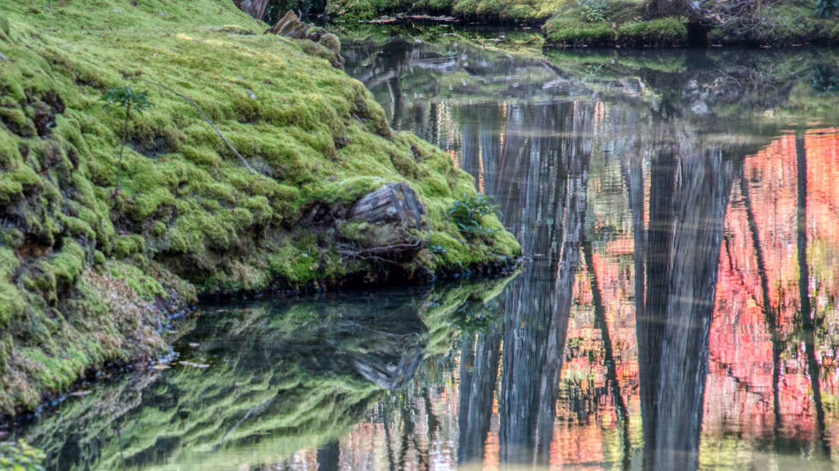 moss bank
