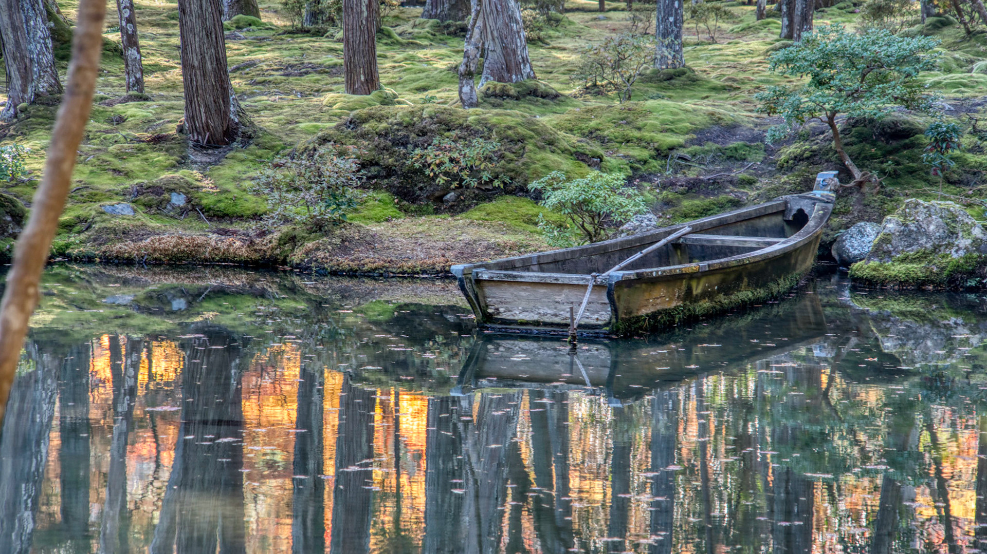 shallow lake