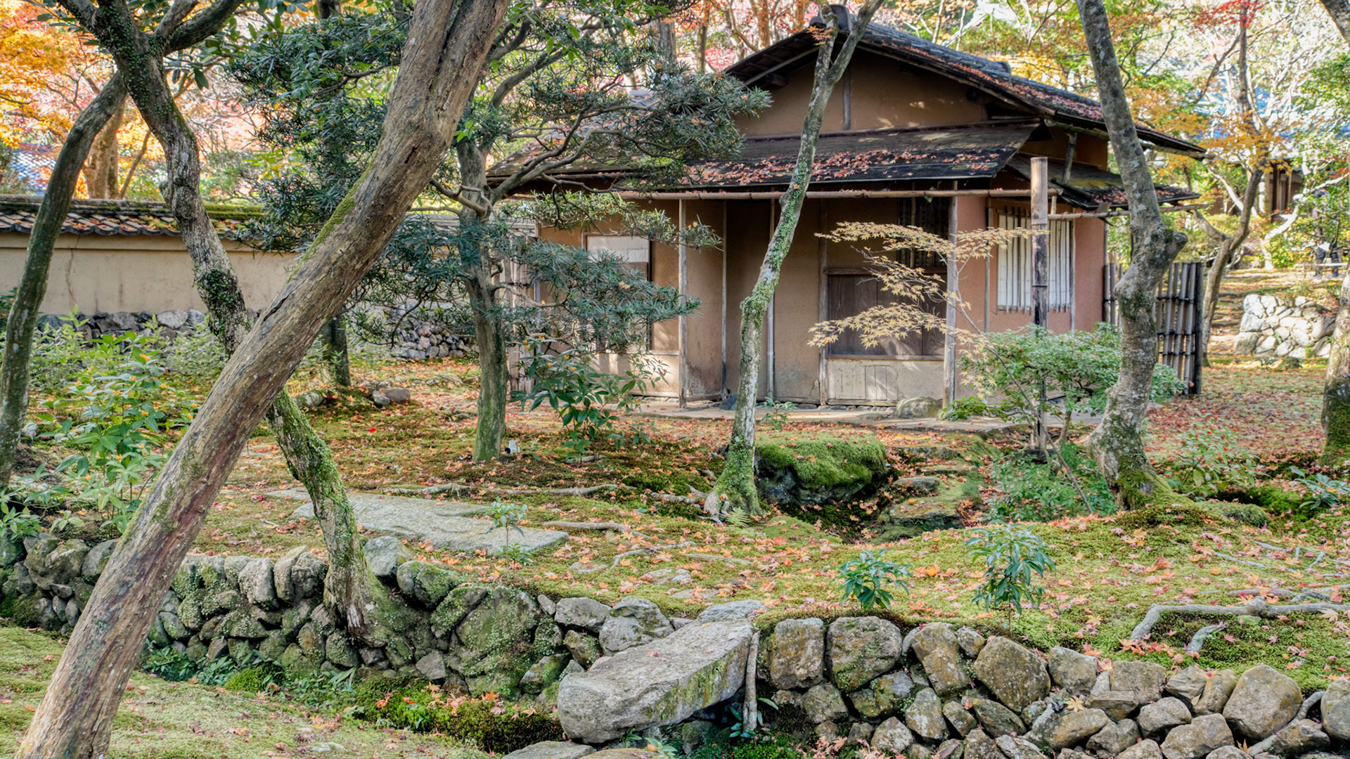 bridge to the teahouse