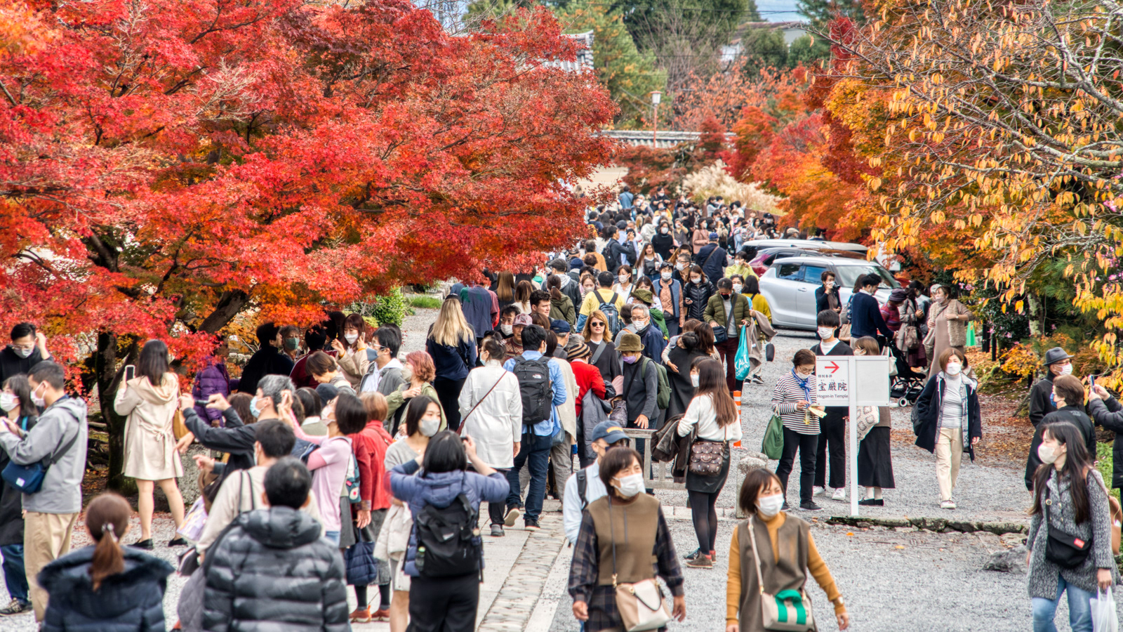 visitors at UNESCO World Heritage Site (WHS)