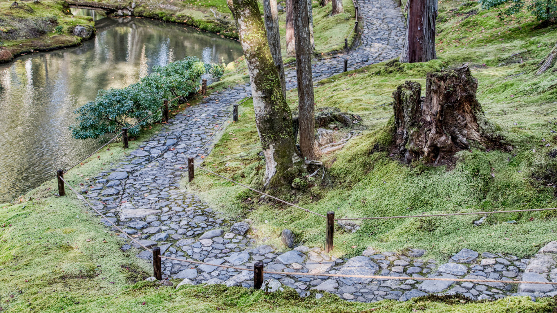walking meditation