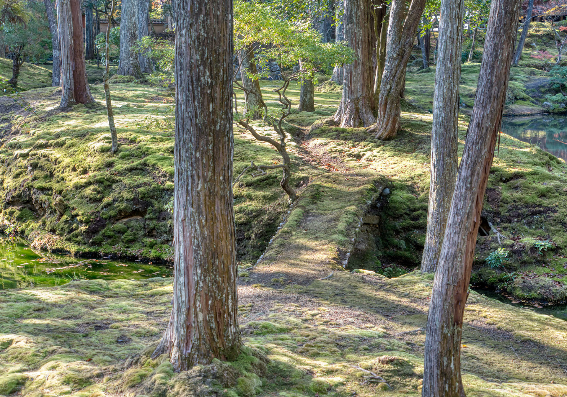 bridge to the inner garden