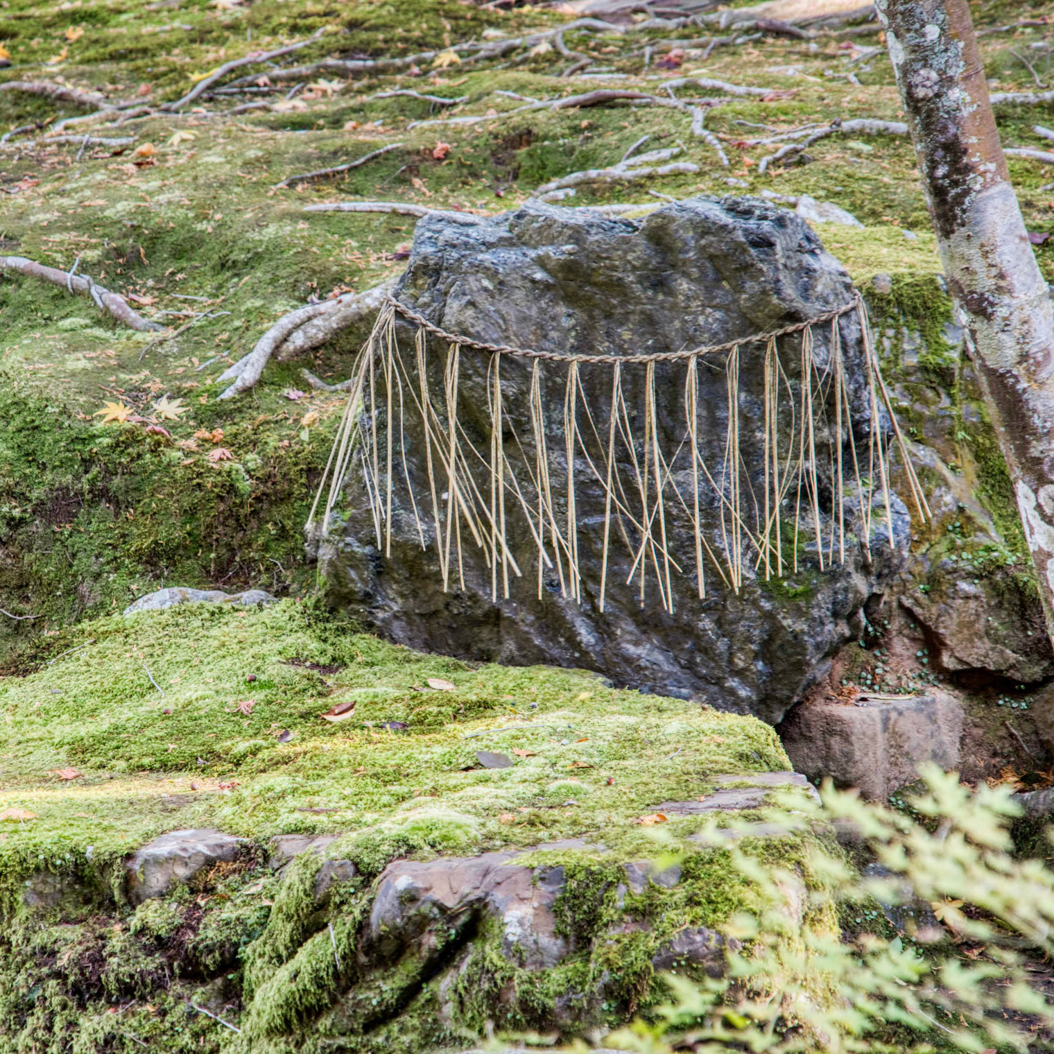 sacred rock