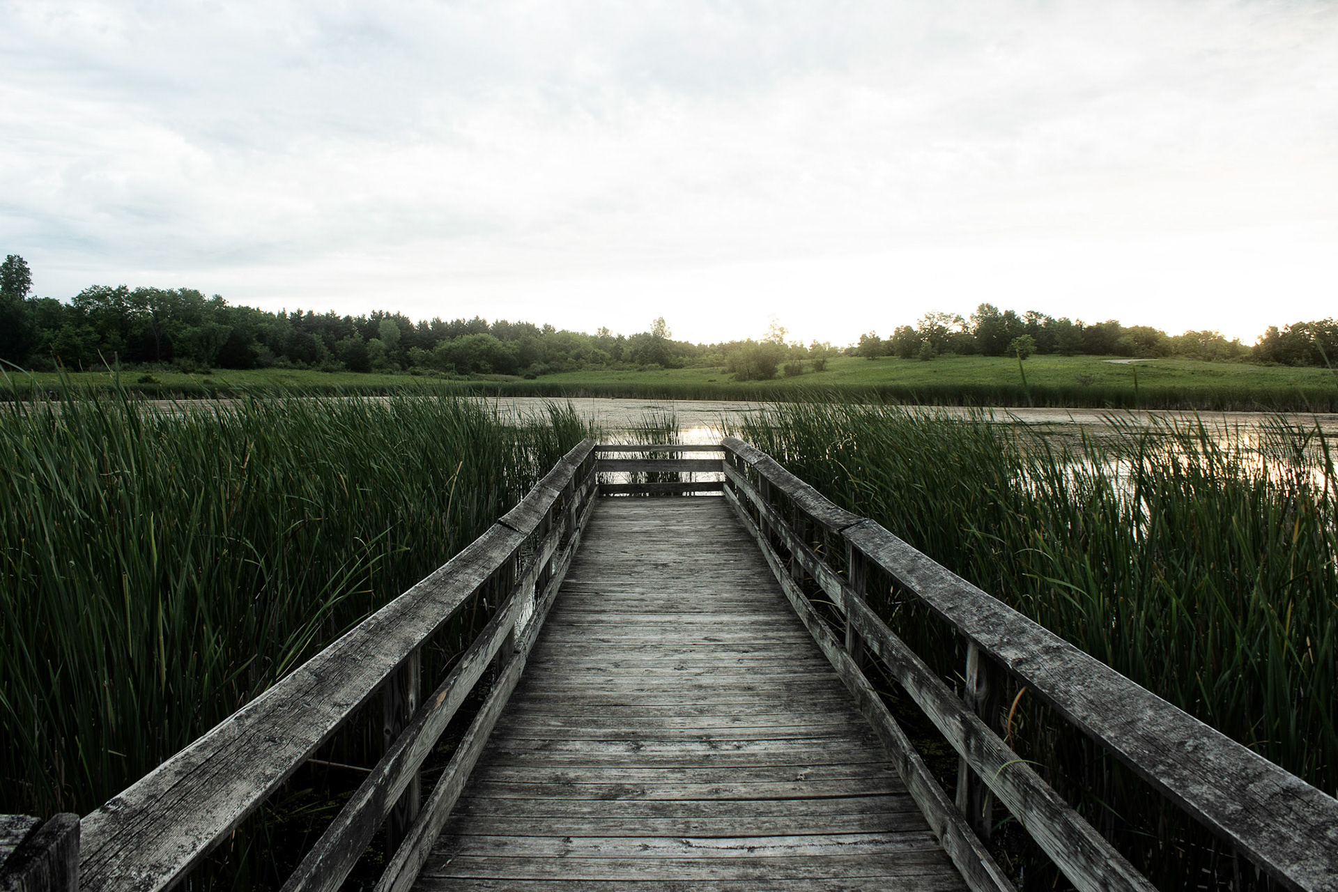 wetlands, Bong State Recreation Area