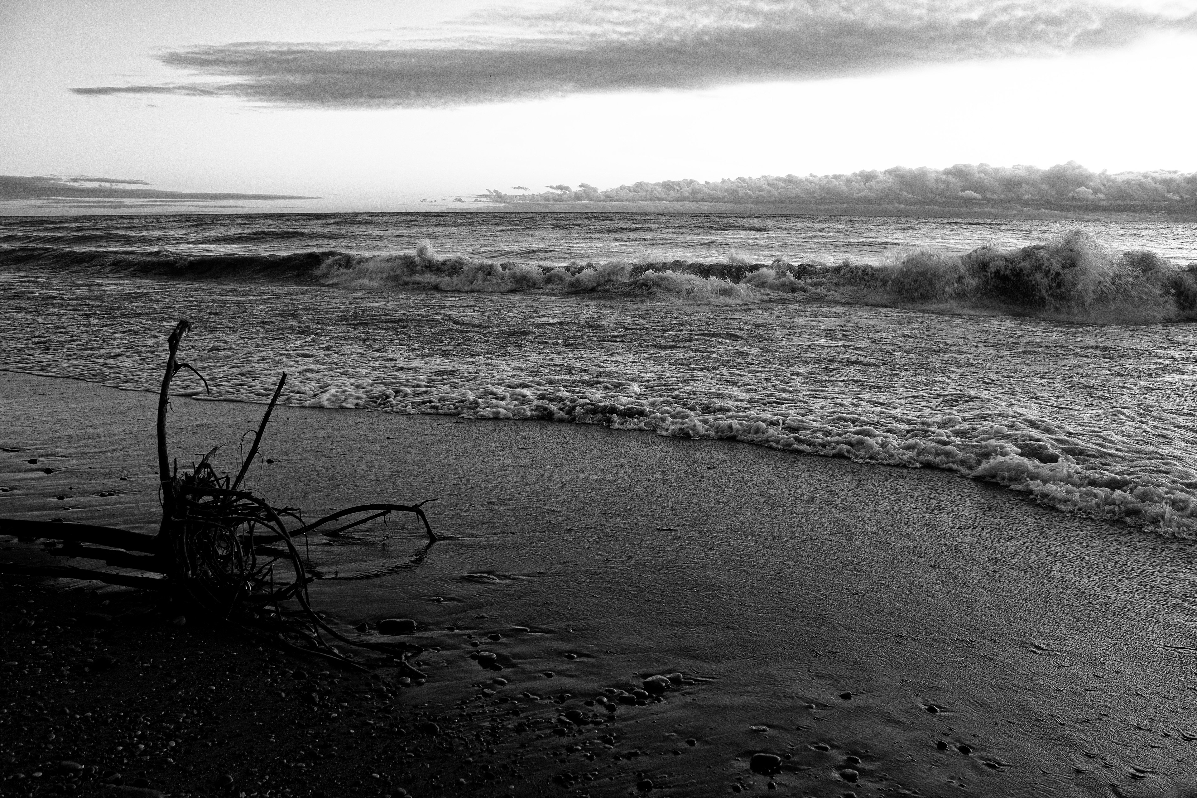 the roaring calm