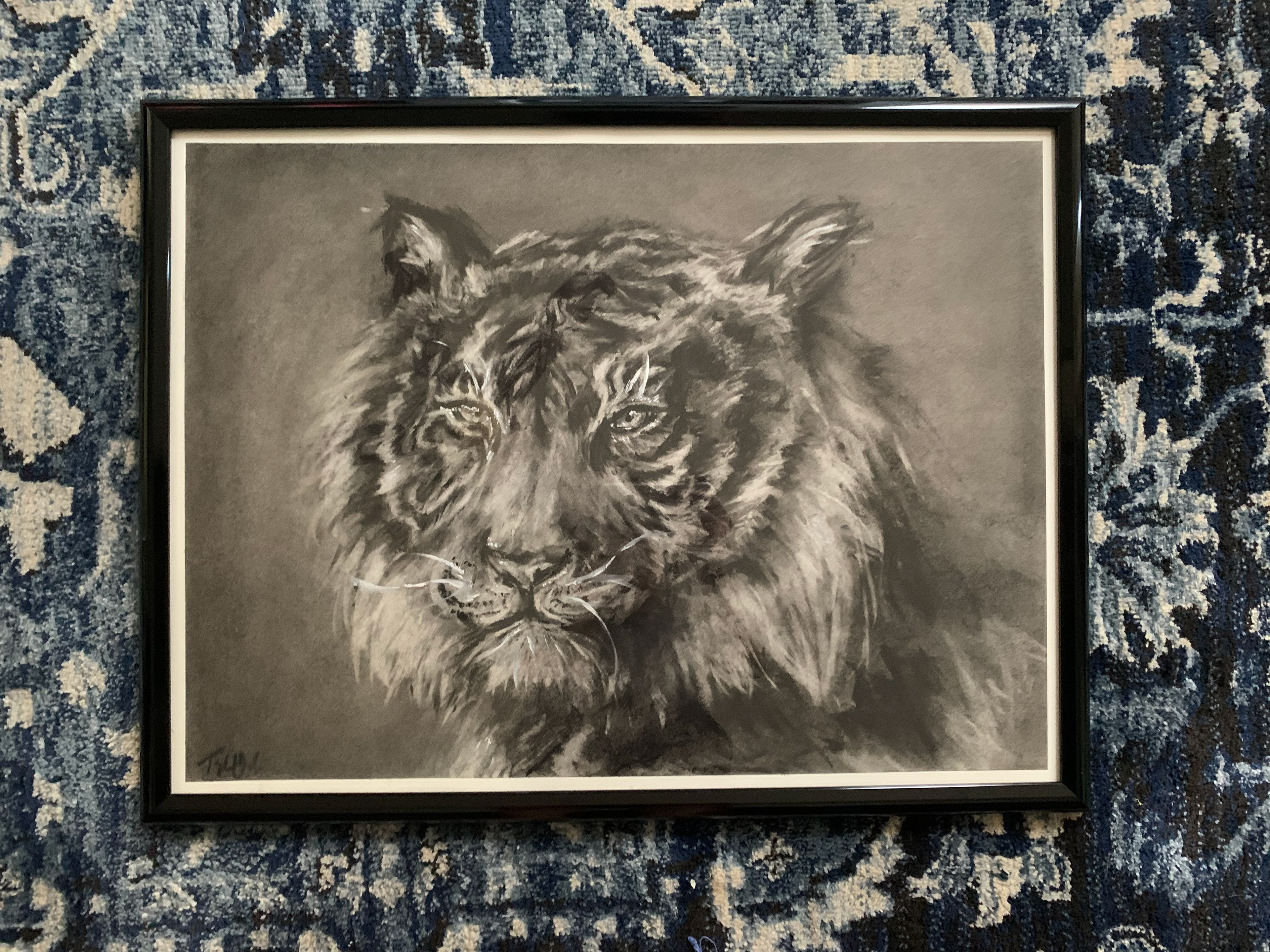 tiger (2021) - charcoal