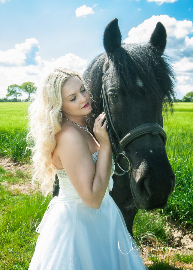 equine portrait photographer