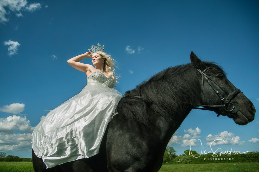 equine portrait photography