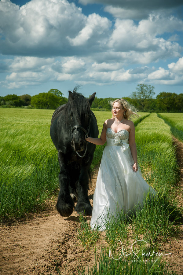 equine portrait photography norfolk