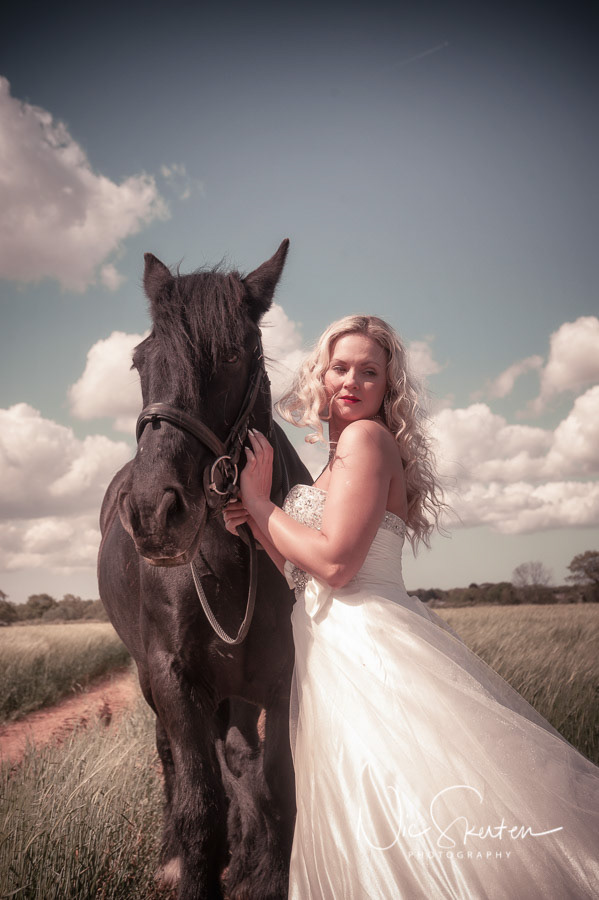equine portrait photography