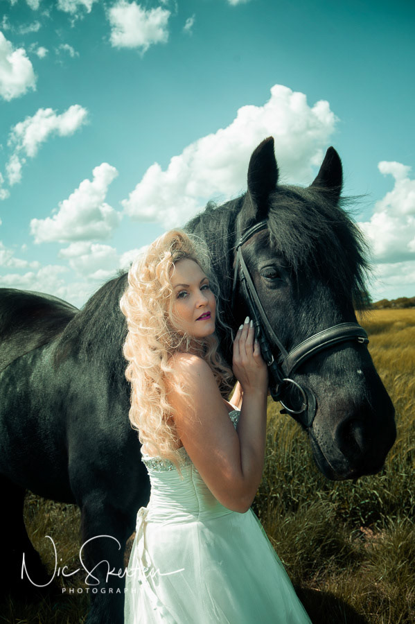 equine portrait photography norfolk & suffolk