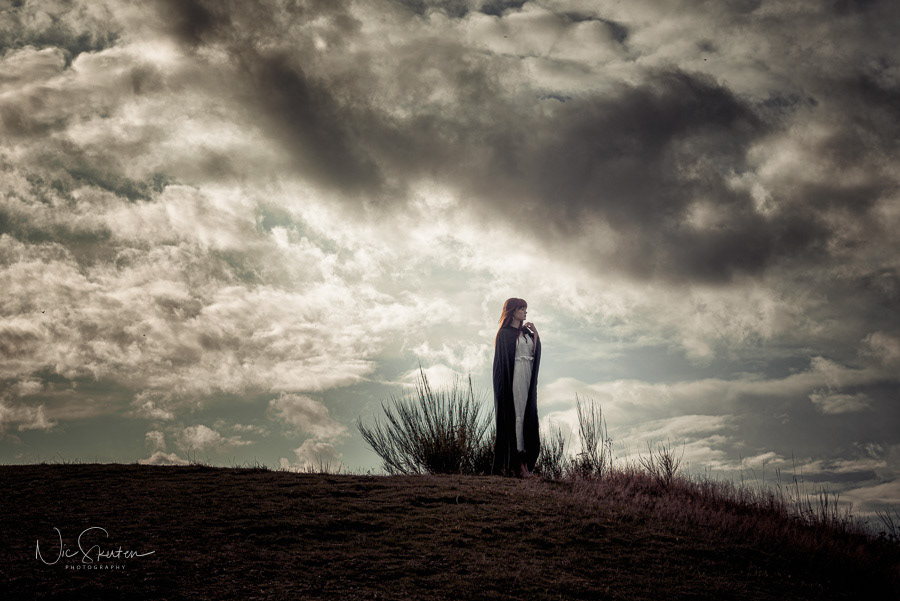 book cover stock norfolk