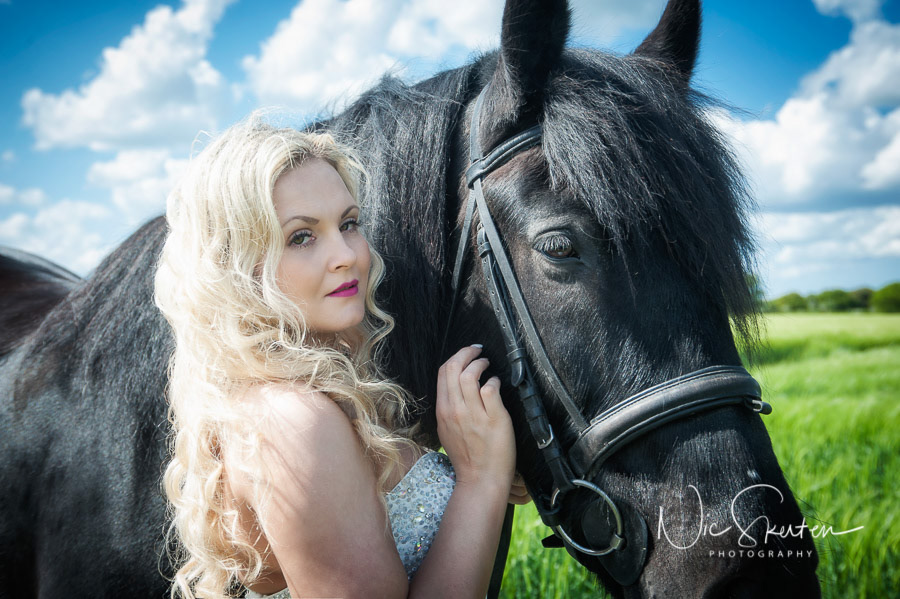 equine portrait 