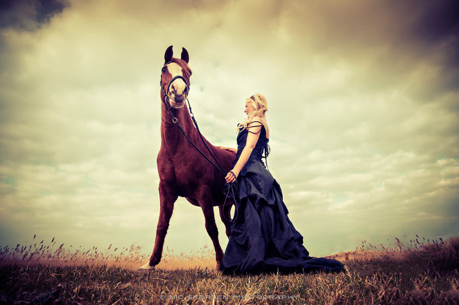 equine portrait photography