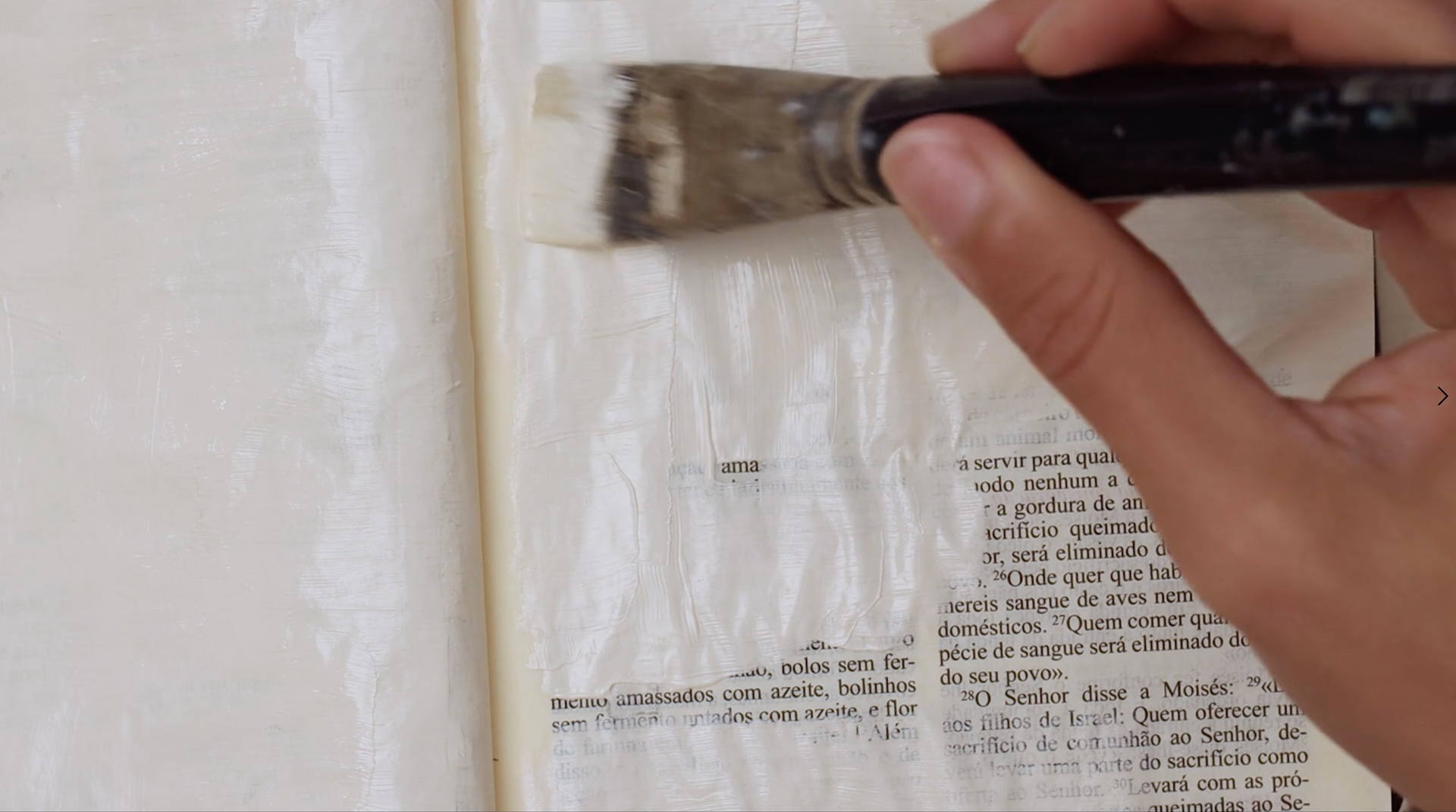 [ 3 ] ZOE | 13'44 | COLOR | 2023